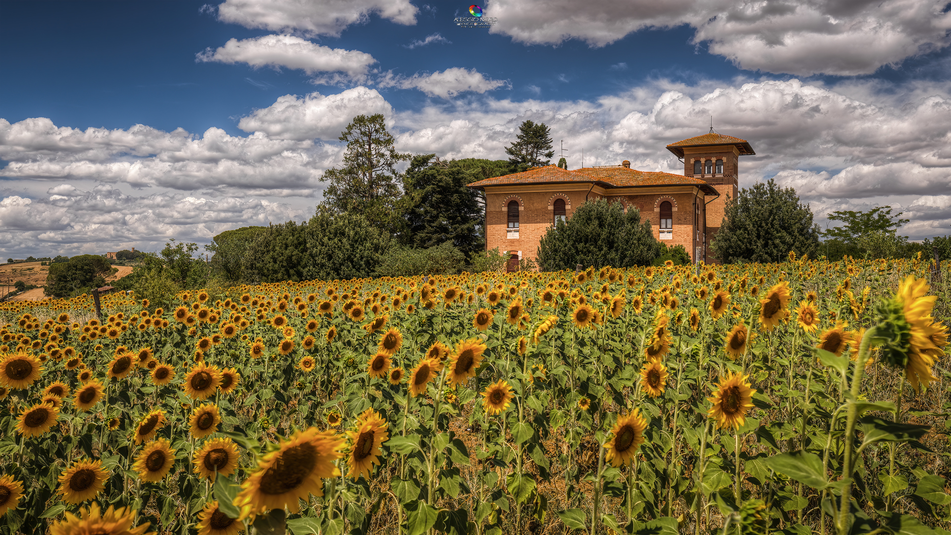 Da qualche parte in Val D'Orcia