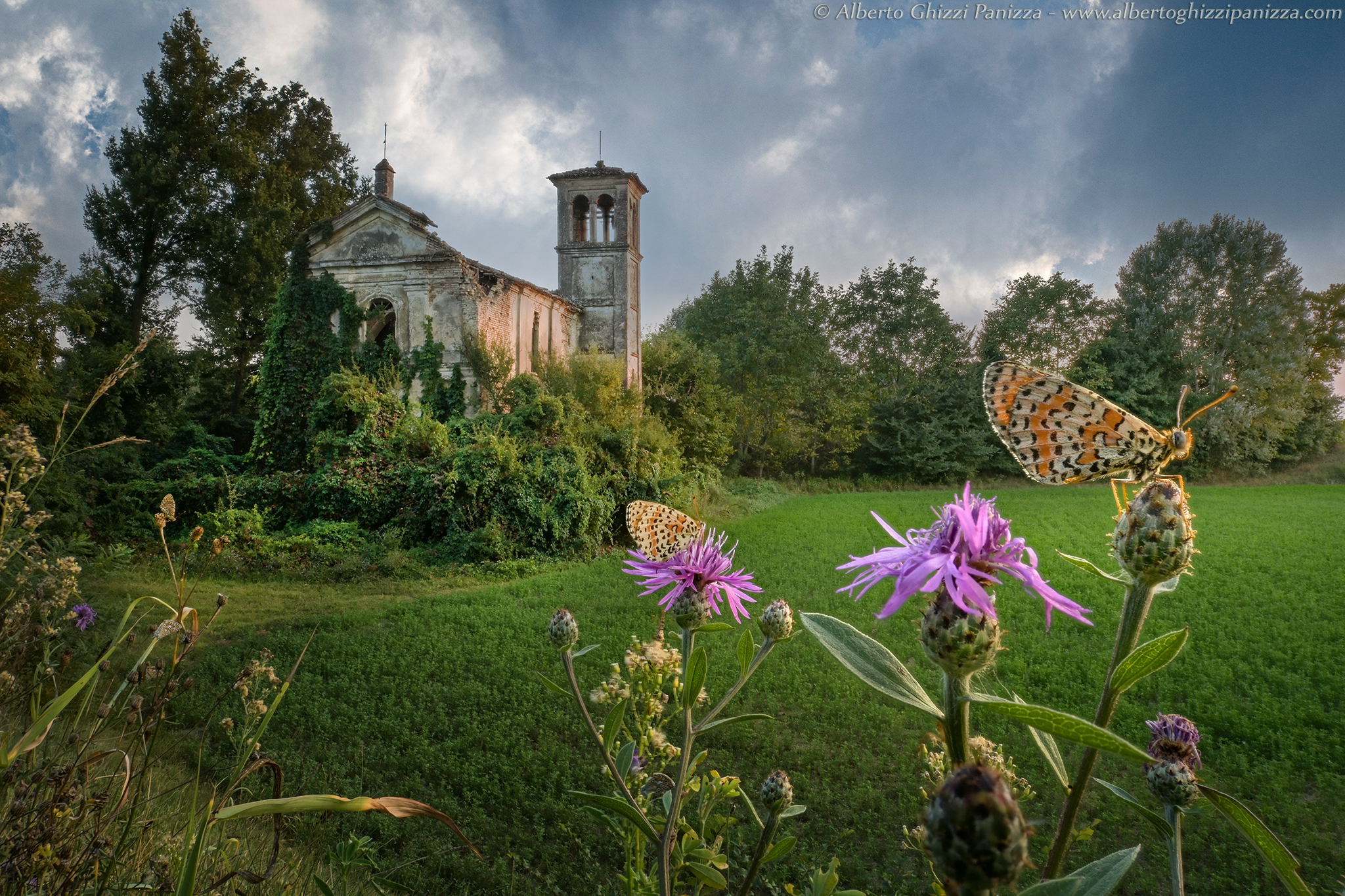 A parish church among the butterflies