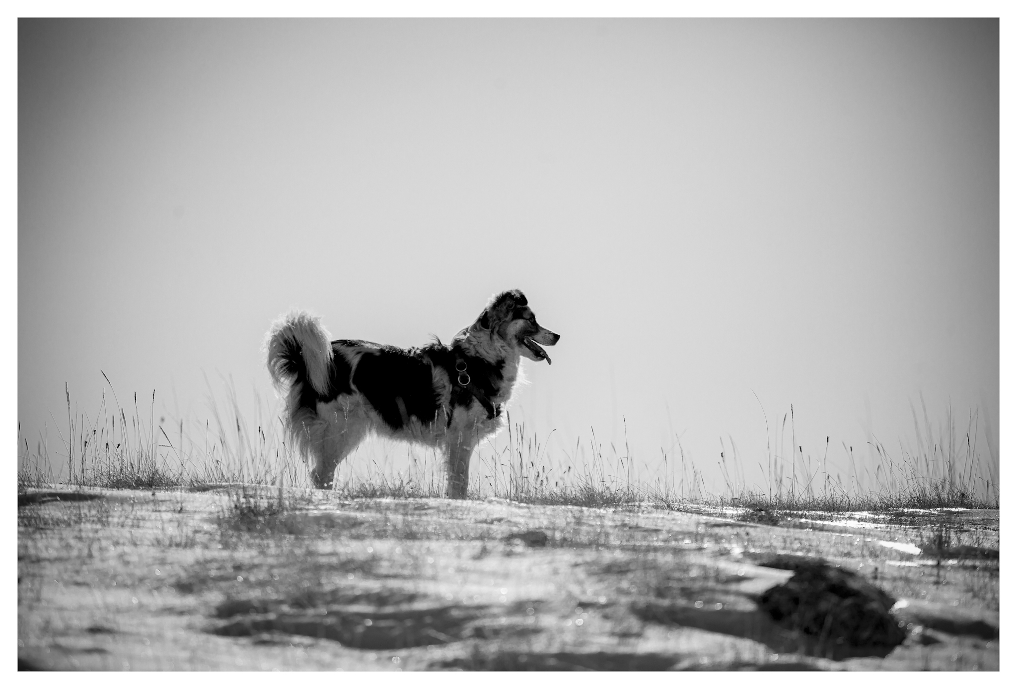 Scrutinizing the plateau