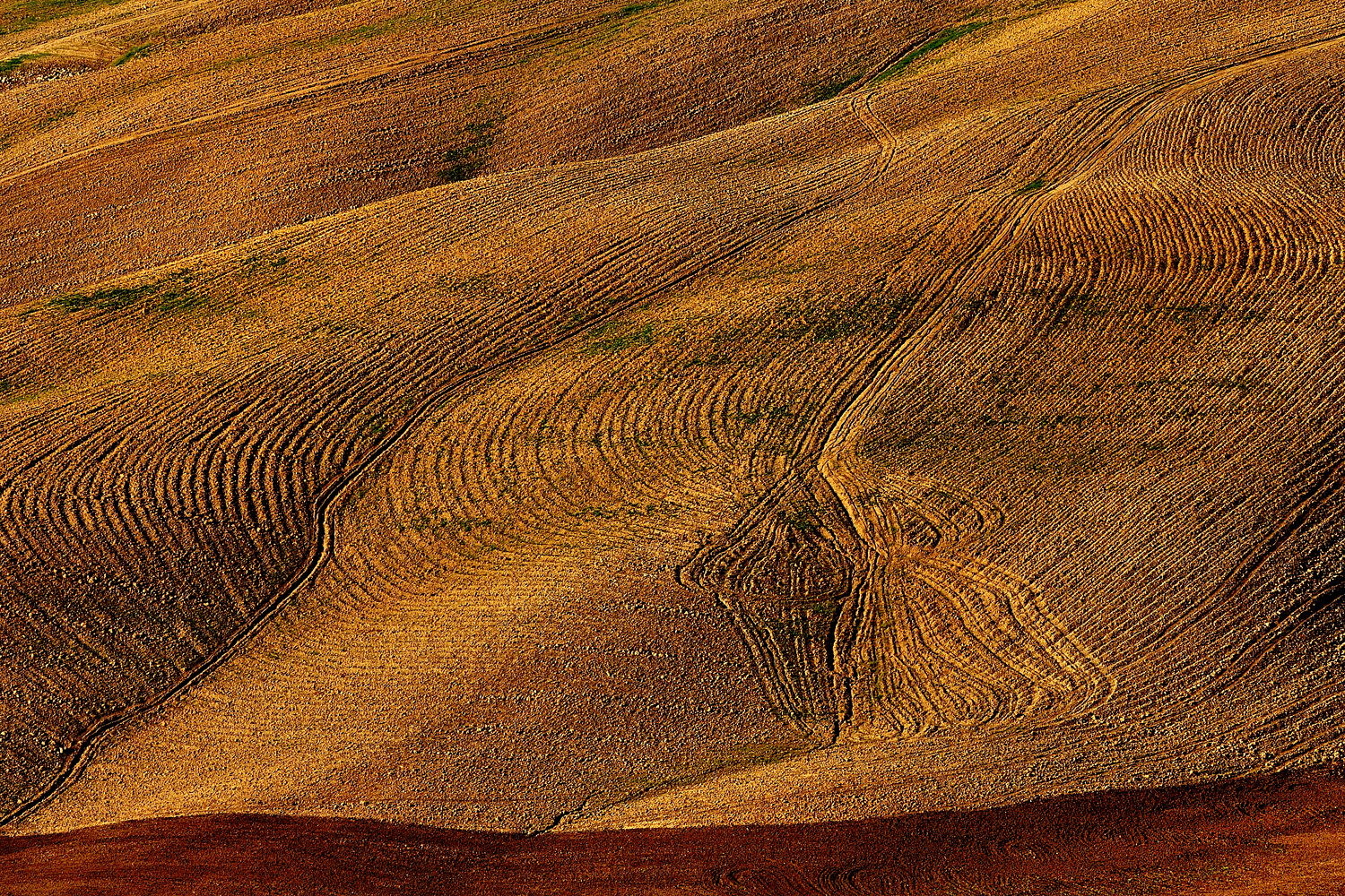 Da qualche parte in Thuscany