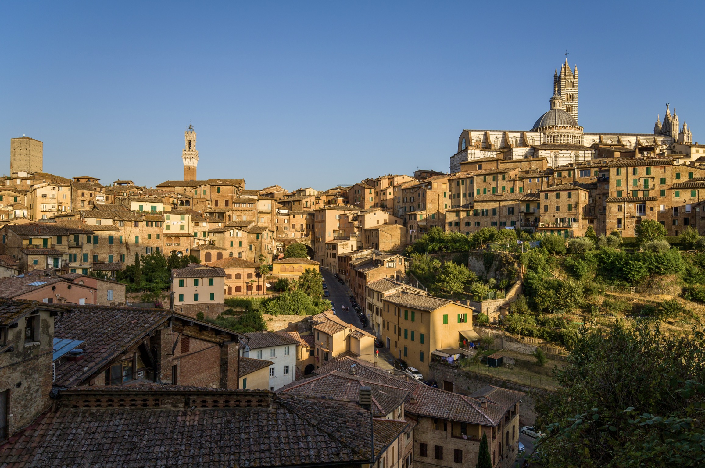 Siena, uno scorcio