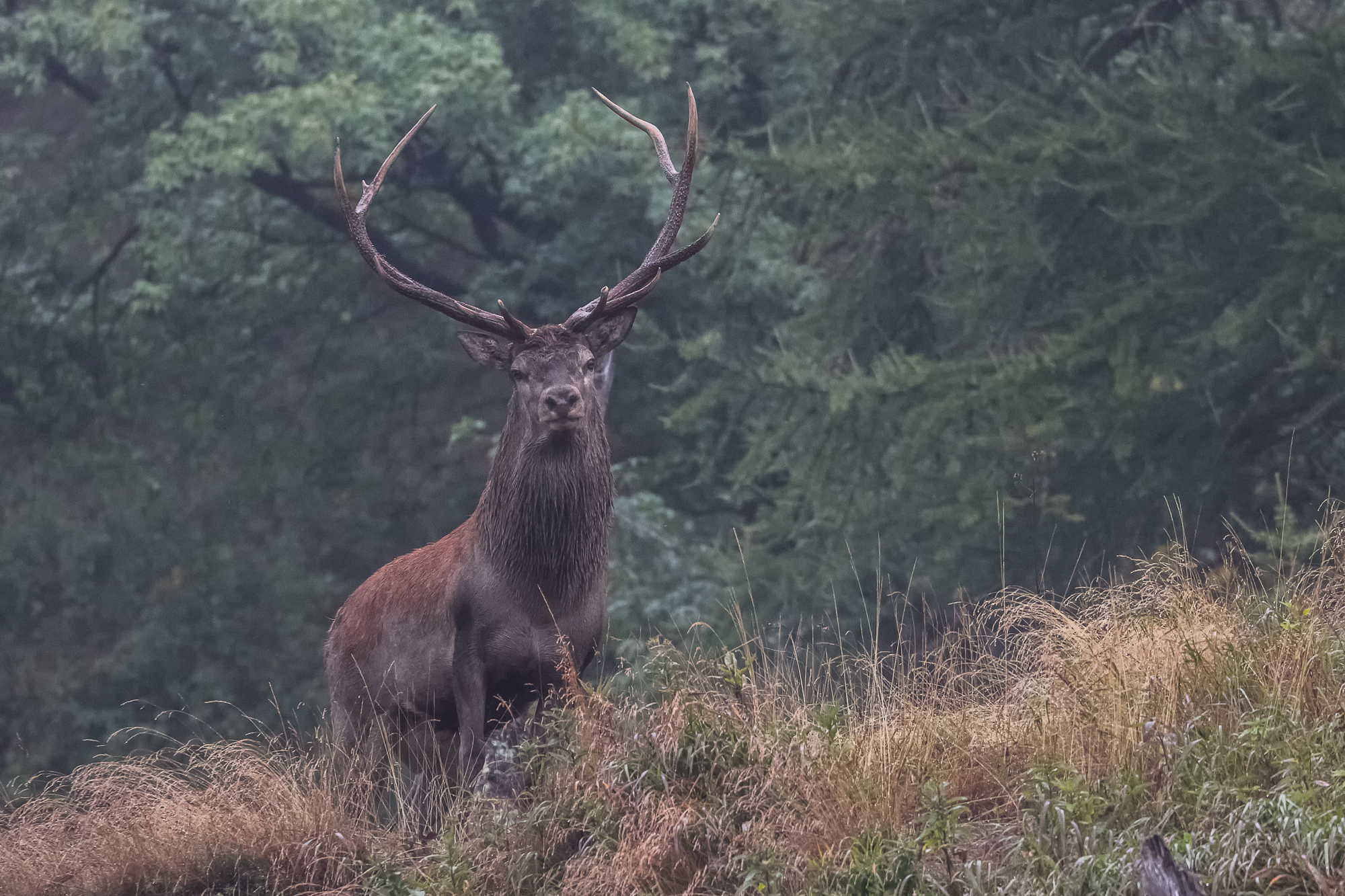 E poi arriva settembre.....