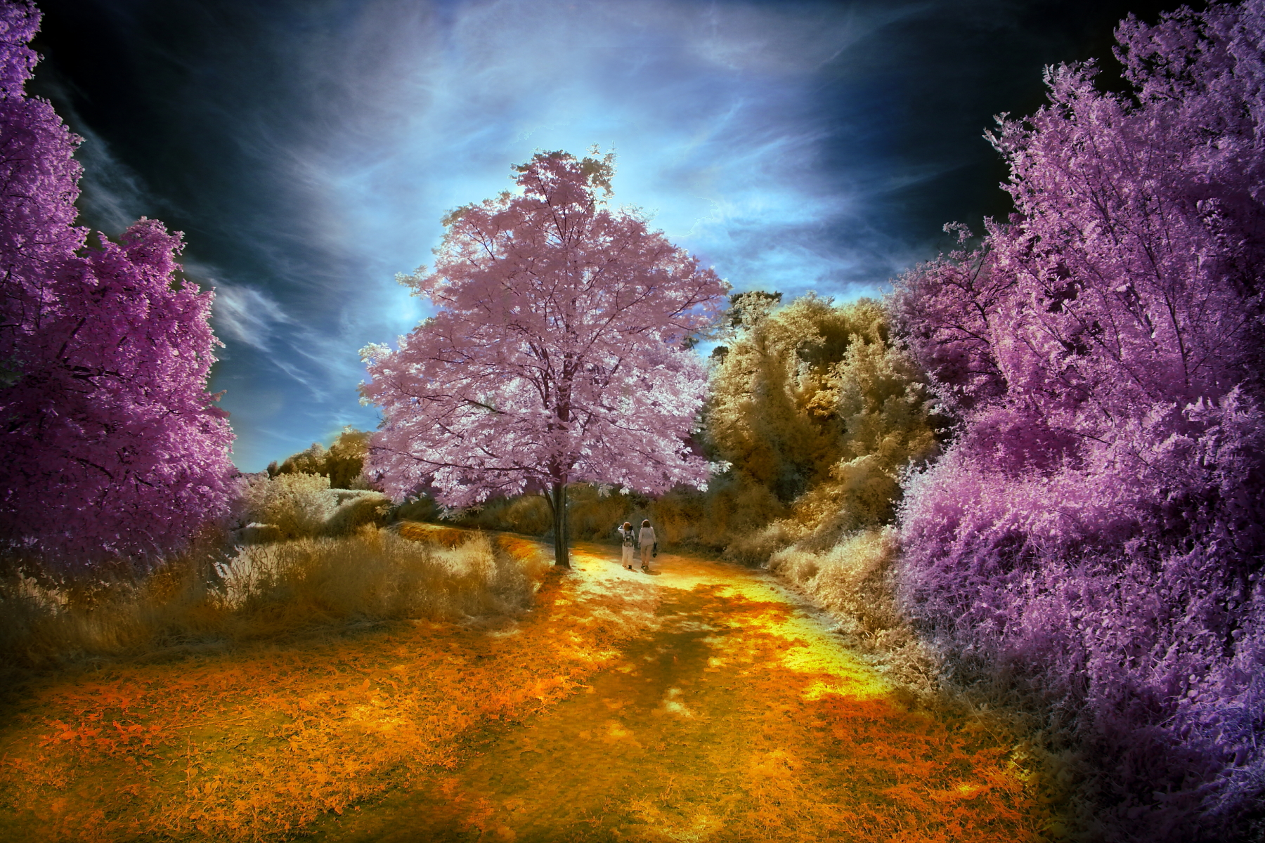 Untitled Photo