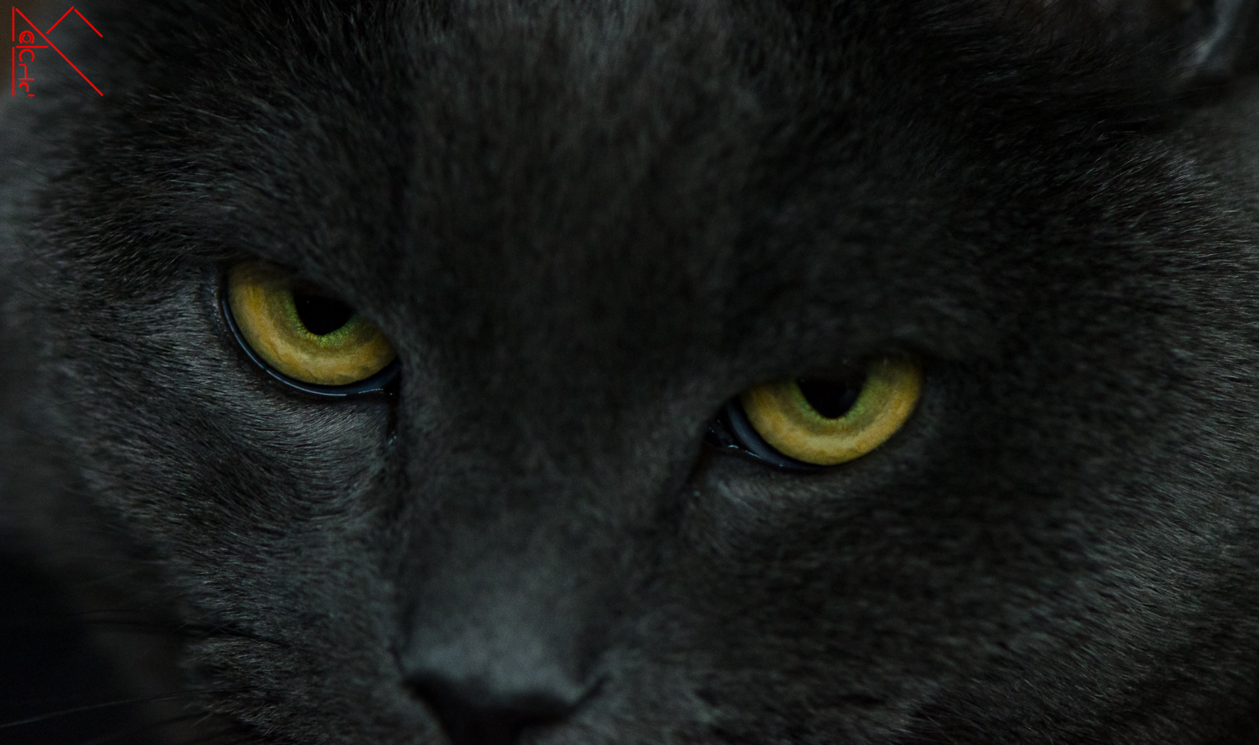 La smetti di farmi le foto?