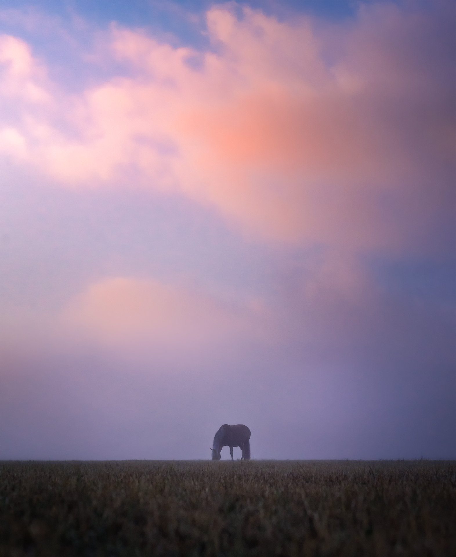 He's waiting for....