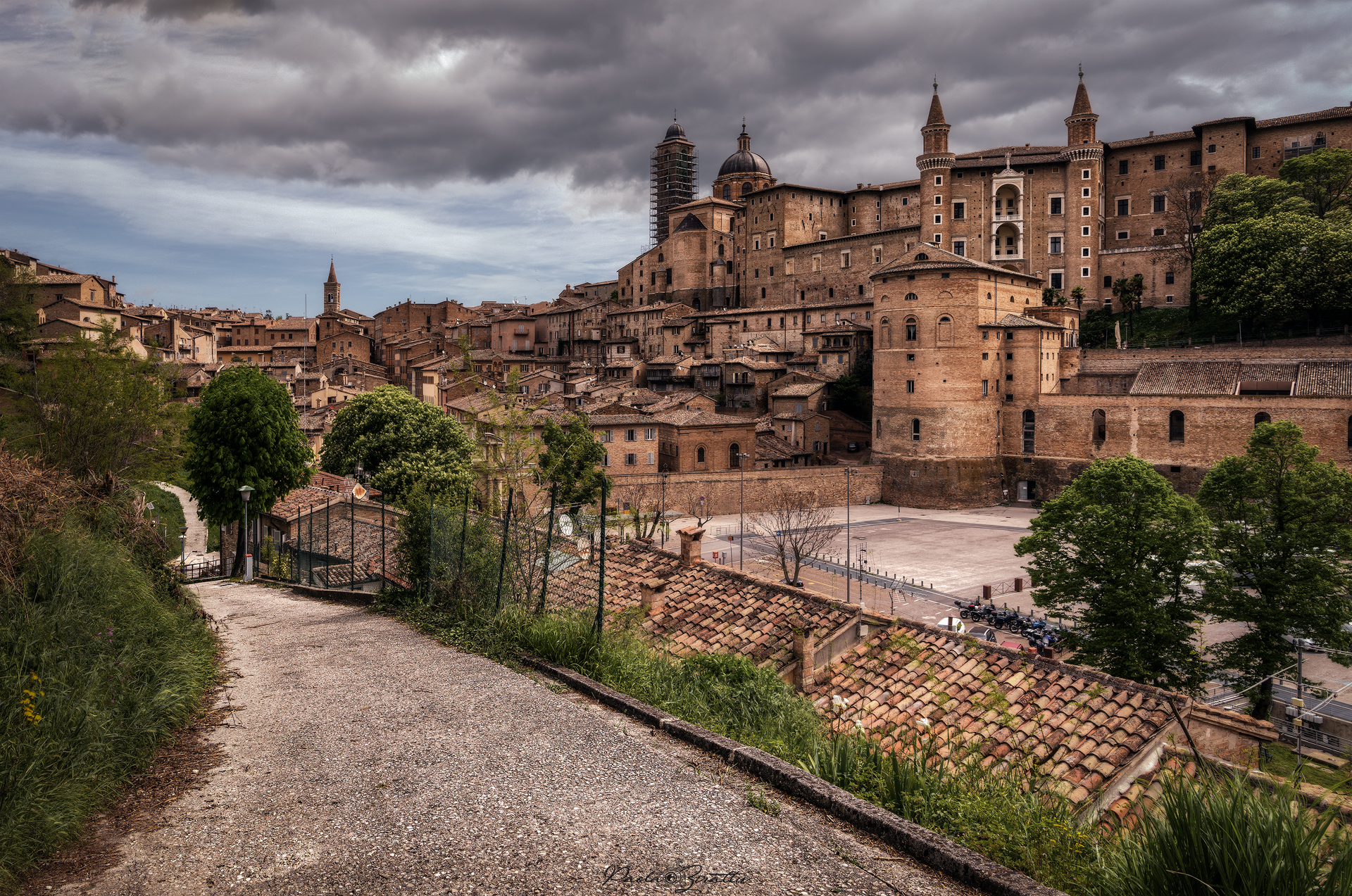 Urbino