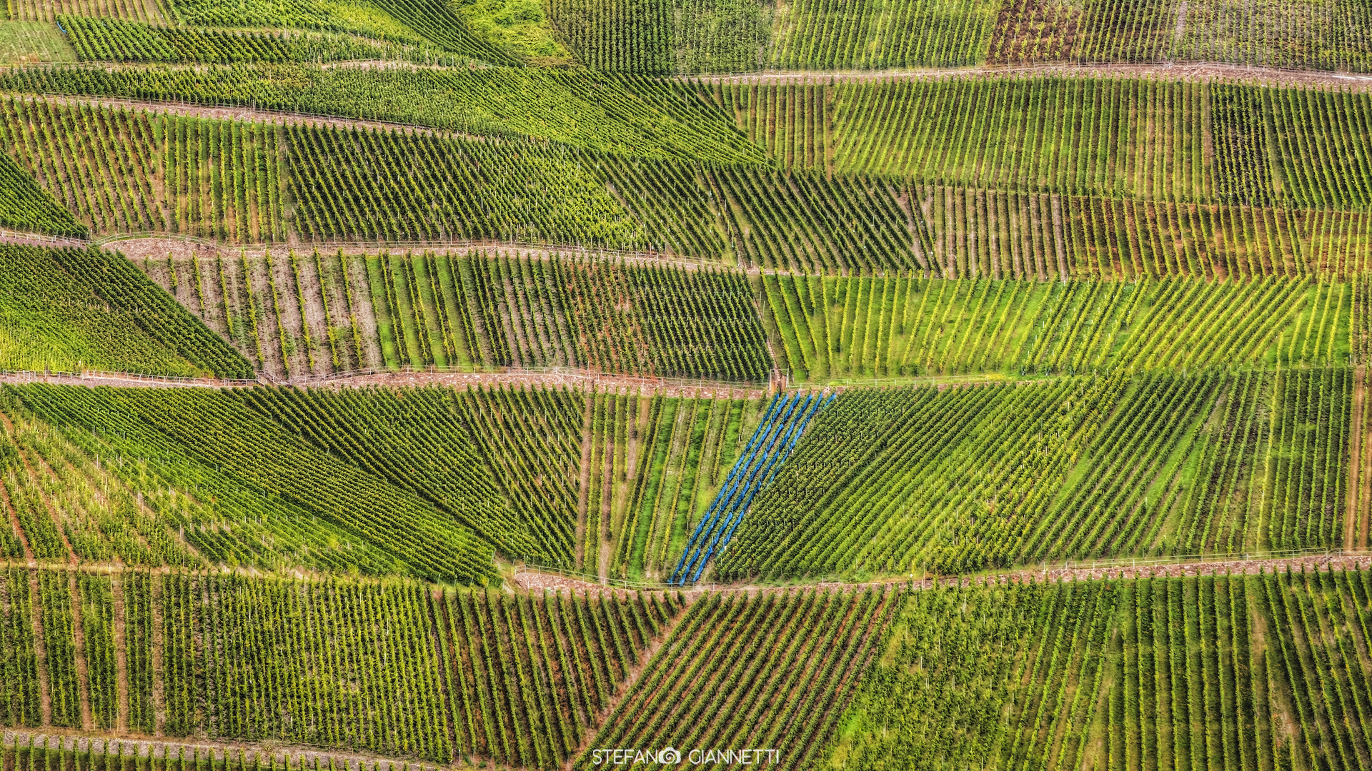 Geometries among vineyards - Bernkastel-Kues