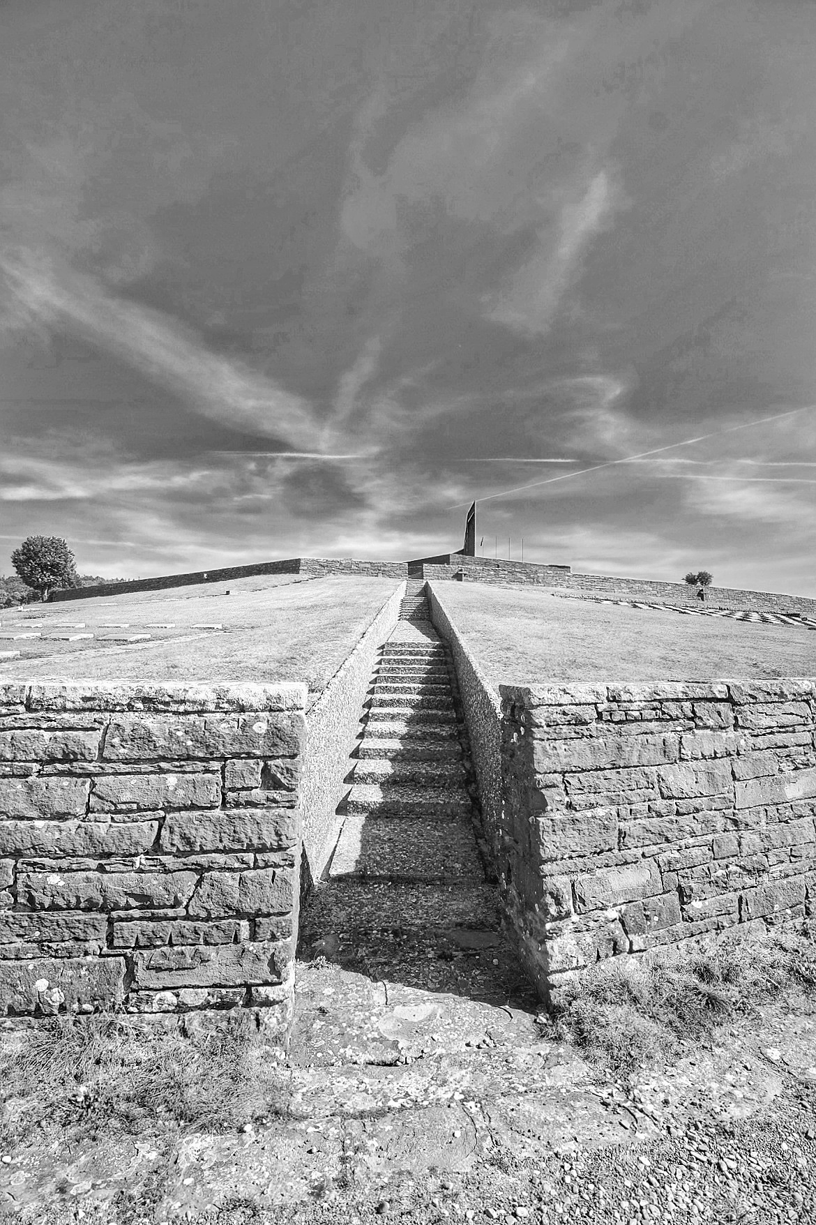 Untitled Photo