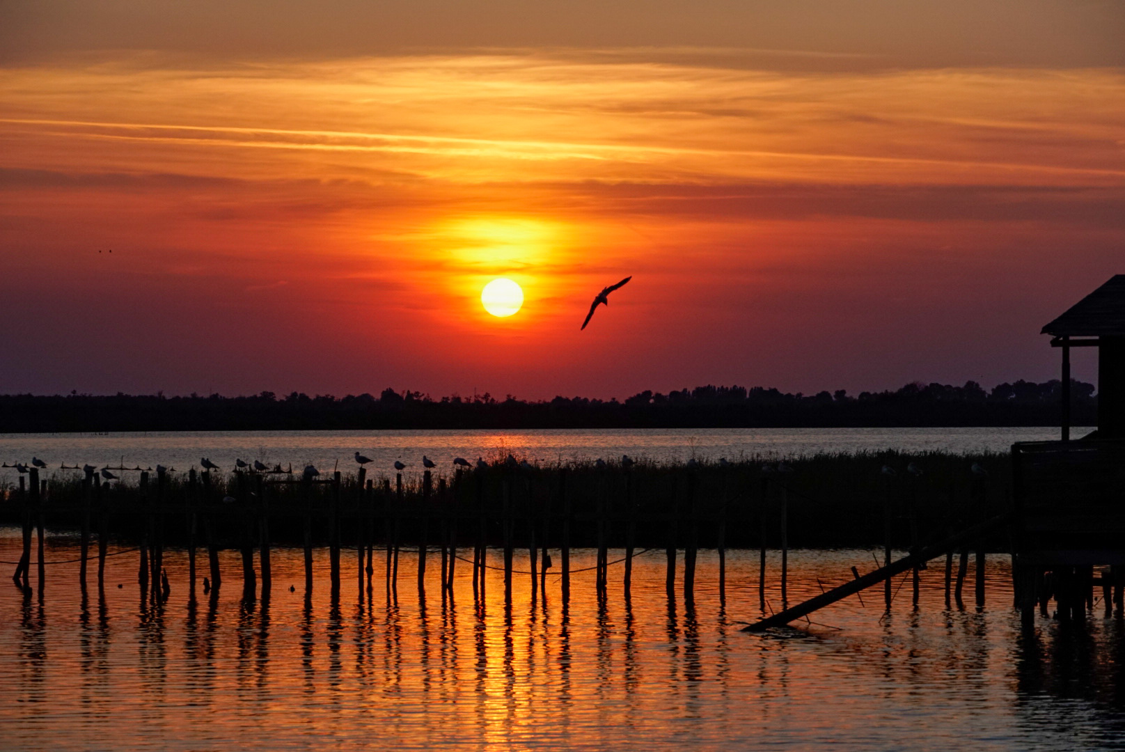 Tramonto alle Valli di Comacchio