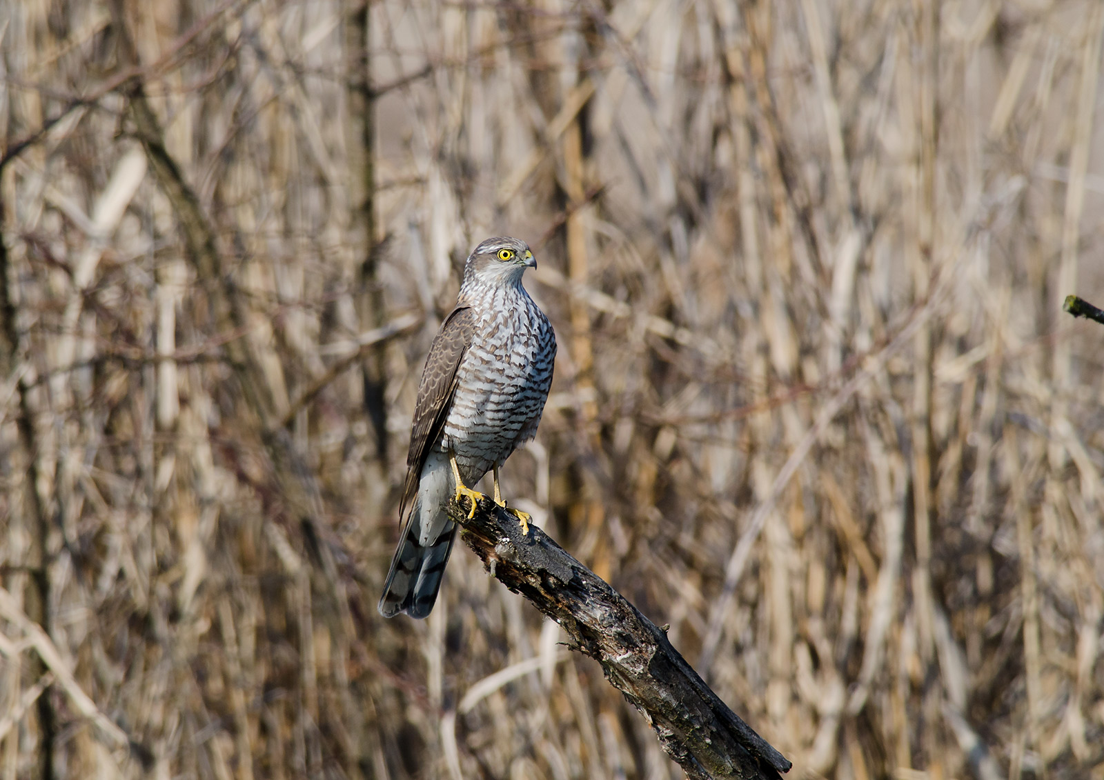 put yourself profile