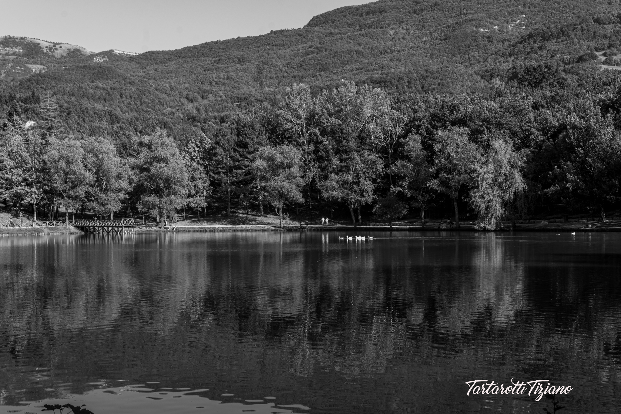 Lago andreuccio Penabilli 7
