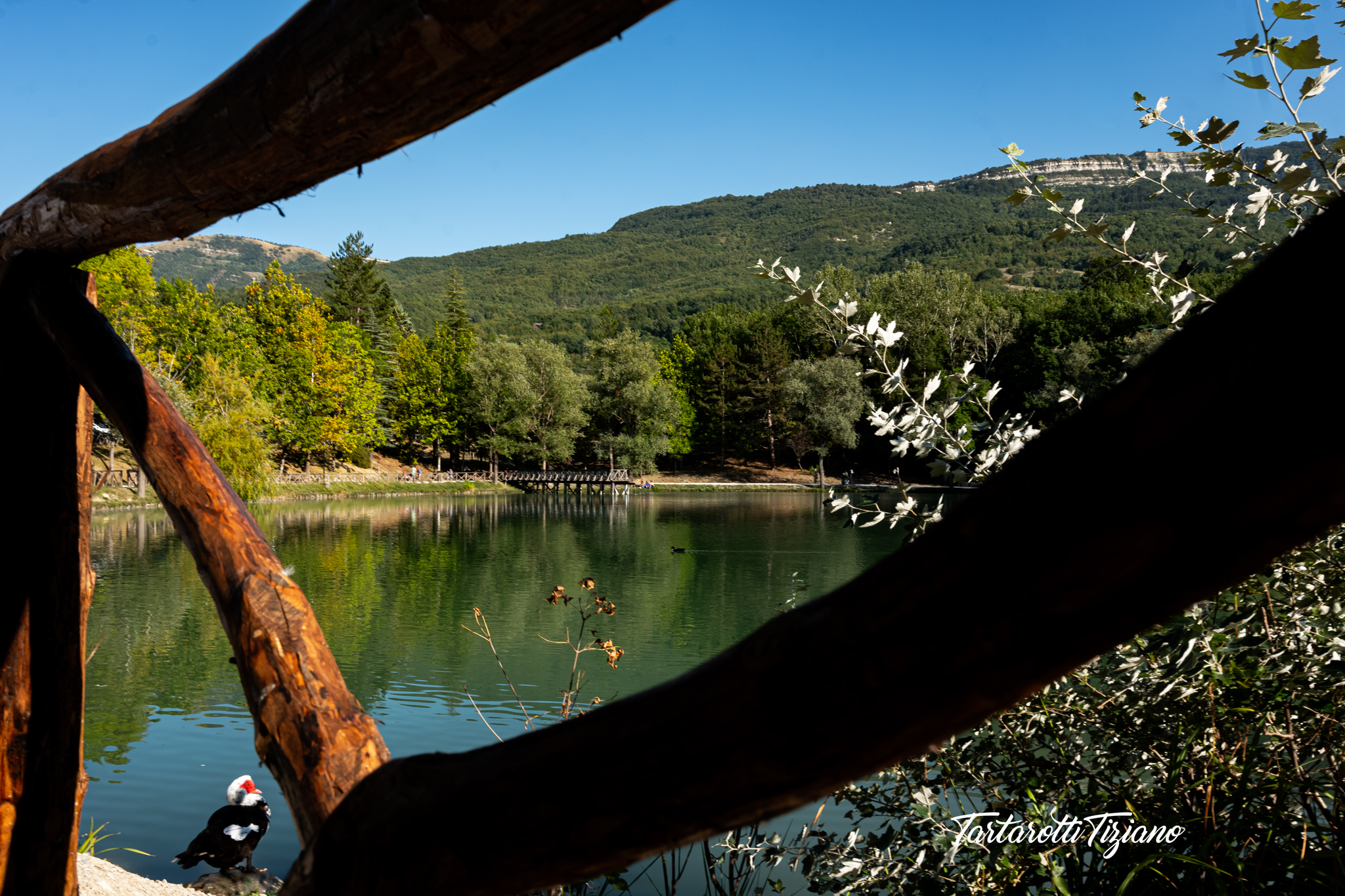 Lago andreuccio Penabilli 9