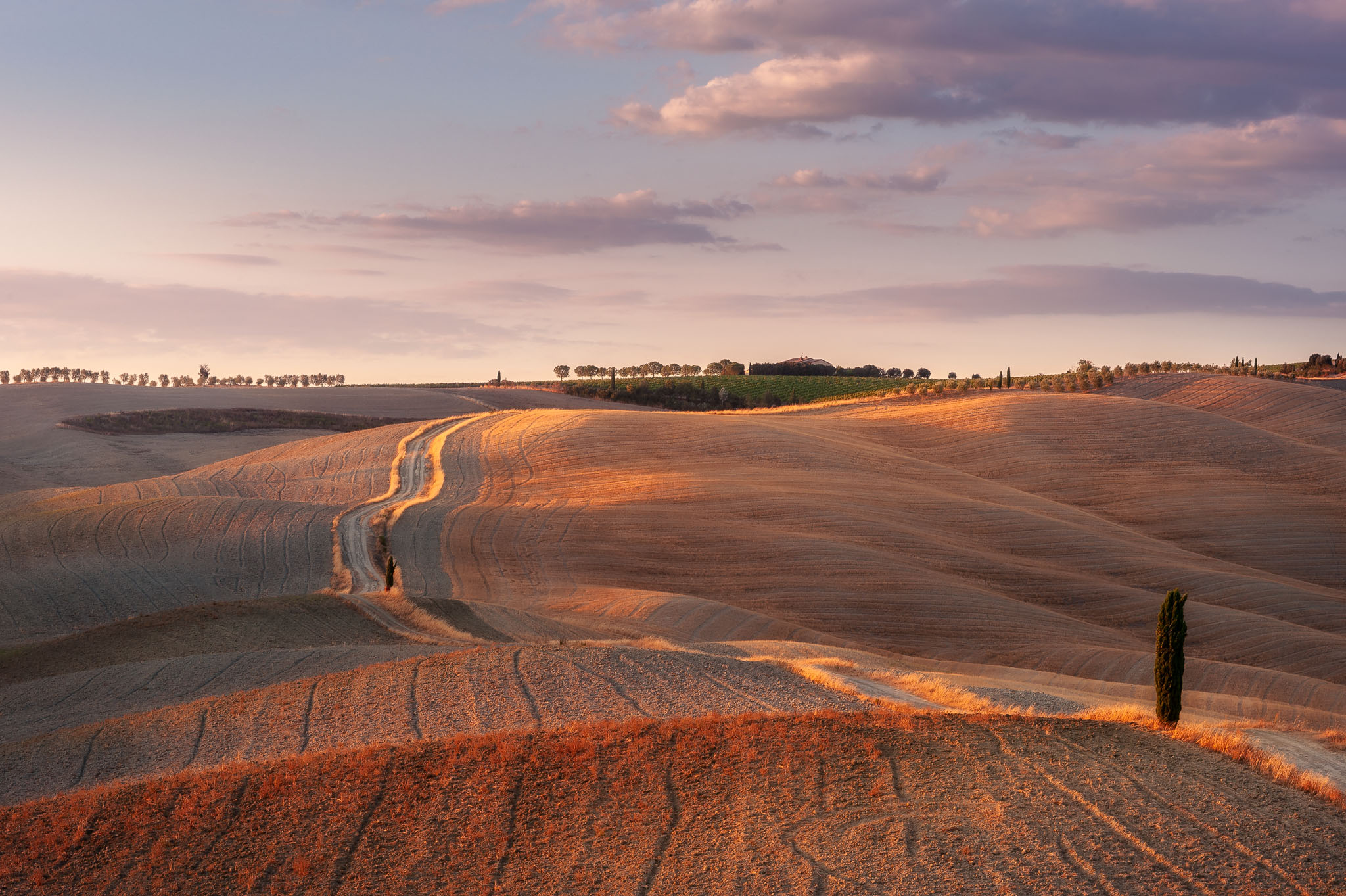 Golden hour on the hills of San Quirico d'Orcia