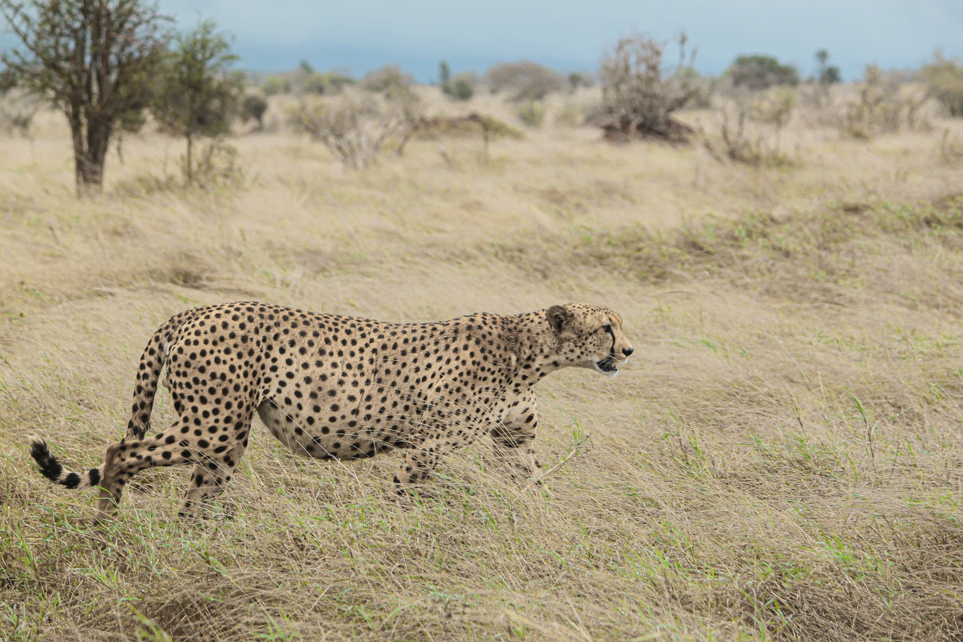 Due passi...per digerire!