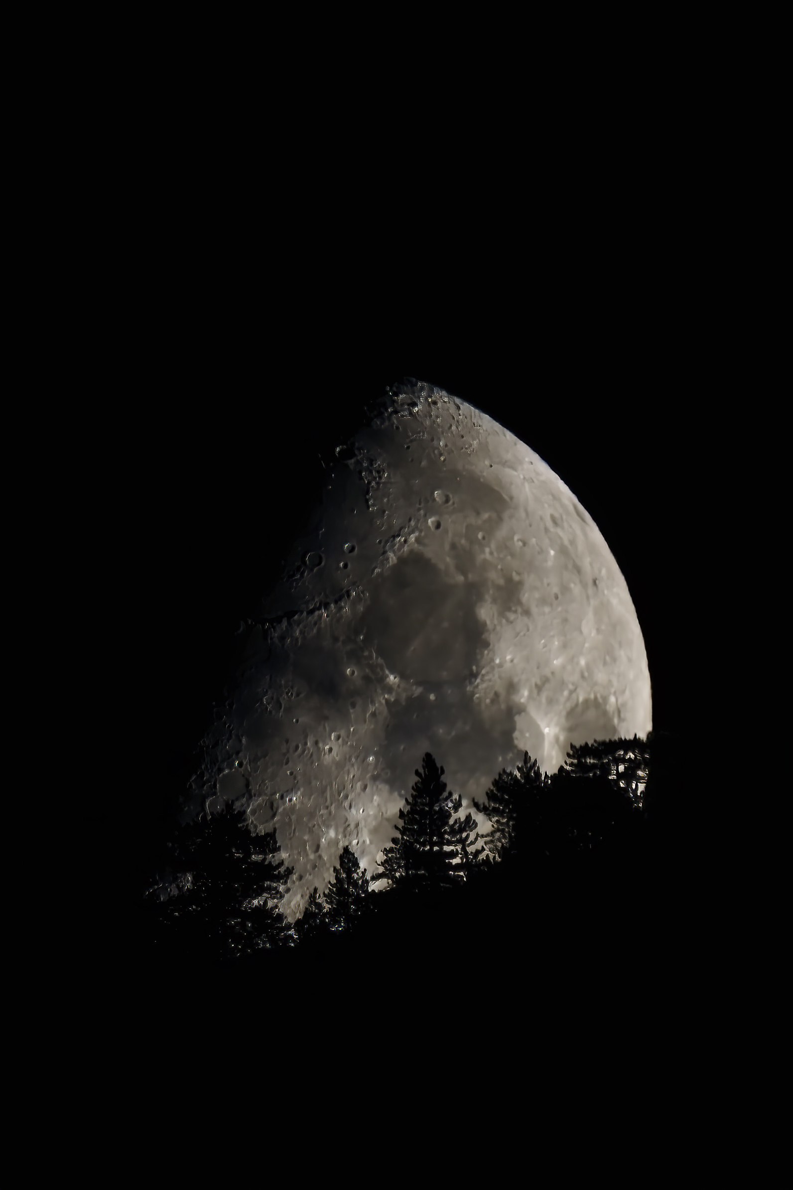 Sorge la mezza luna settembre 2021 c