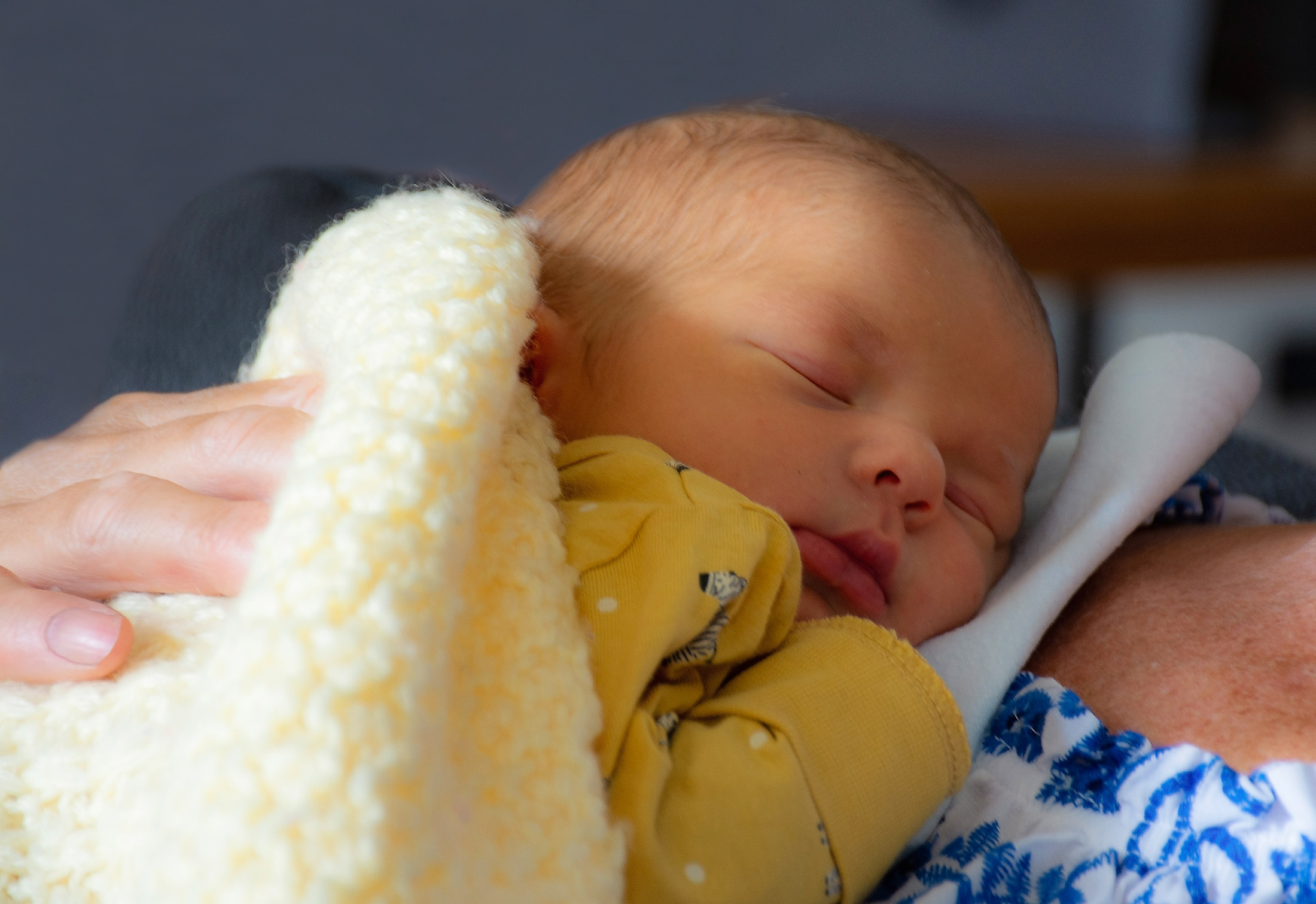 Ben arrivato Nicolò