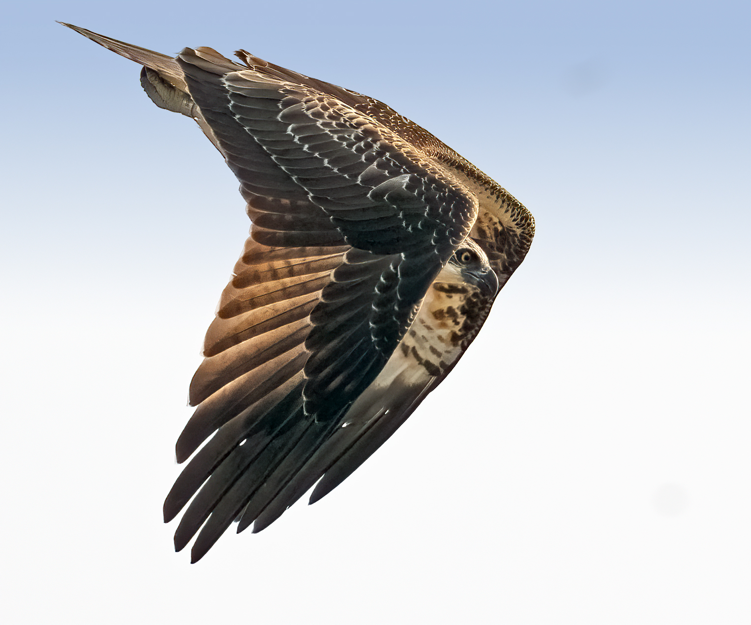 a different view ....