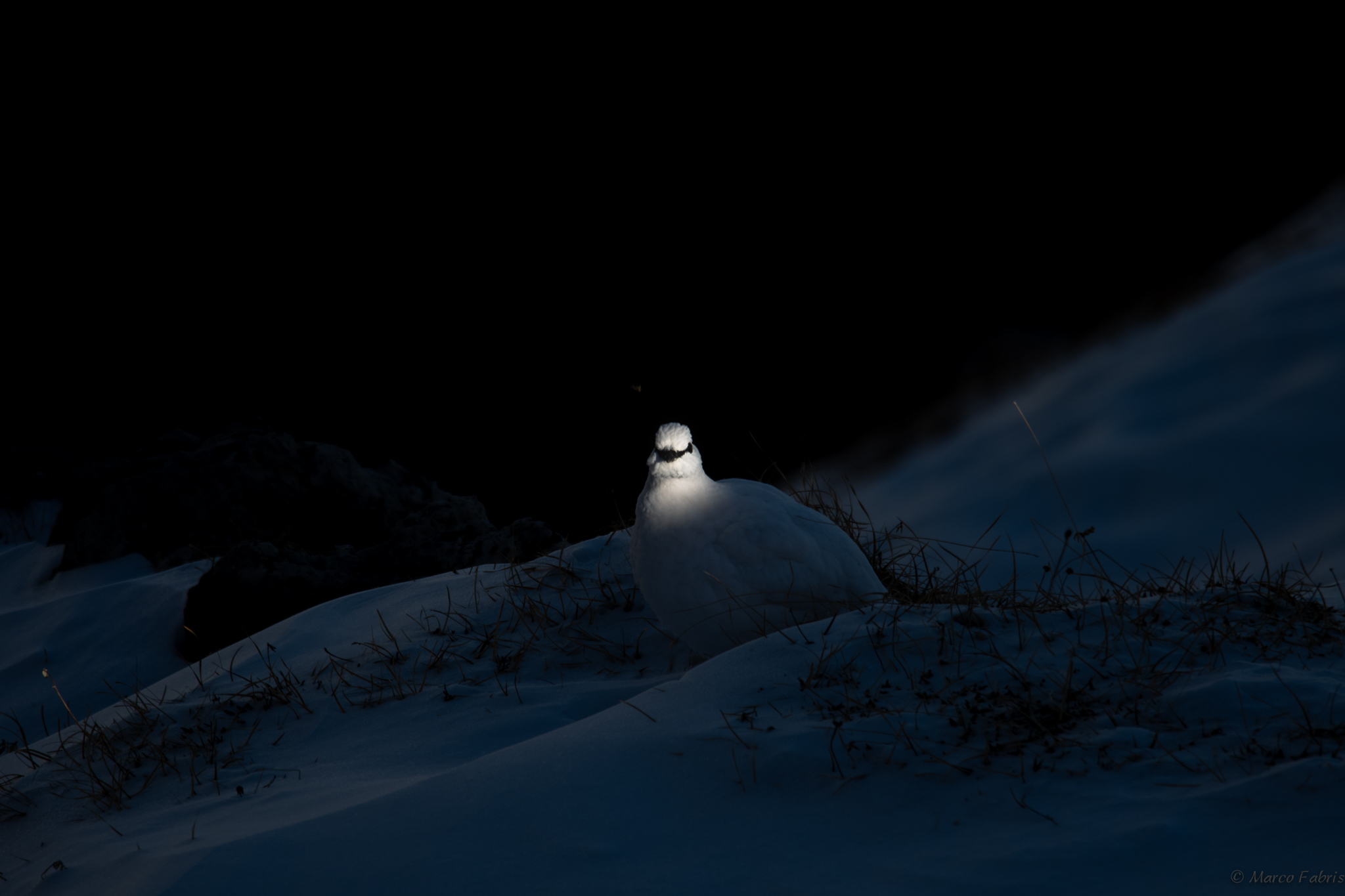 In the darkness