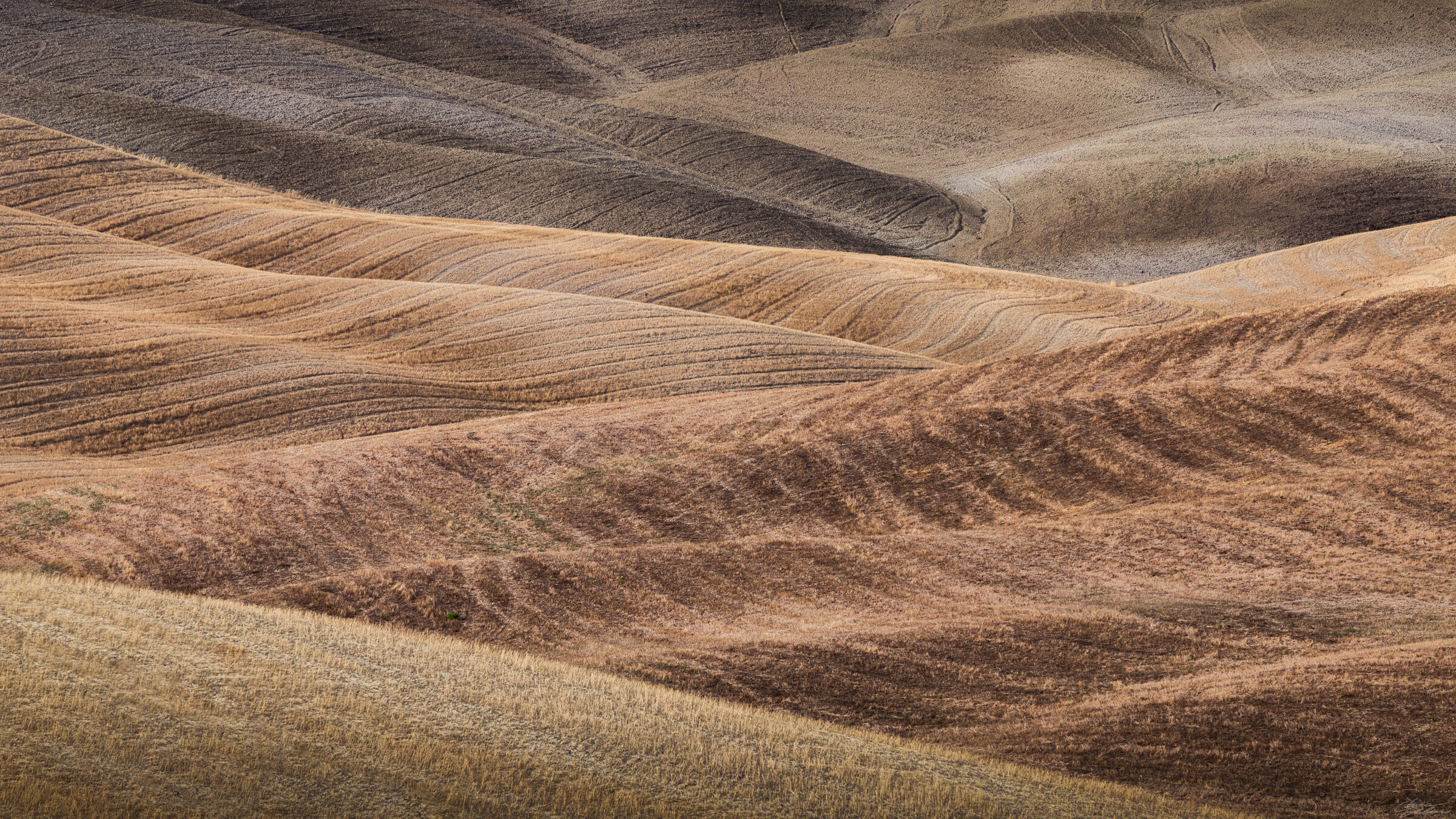 Tra le dune della Val D'Orcia