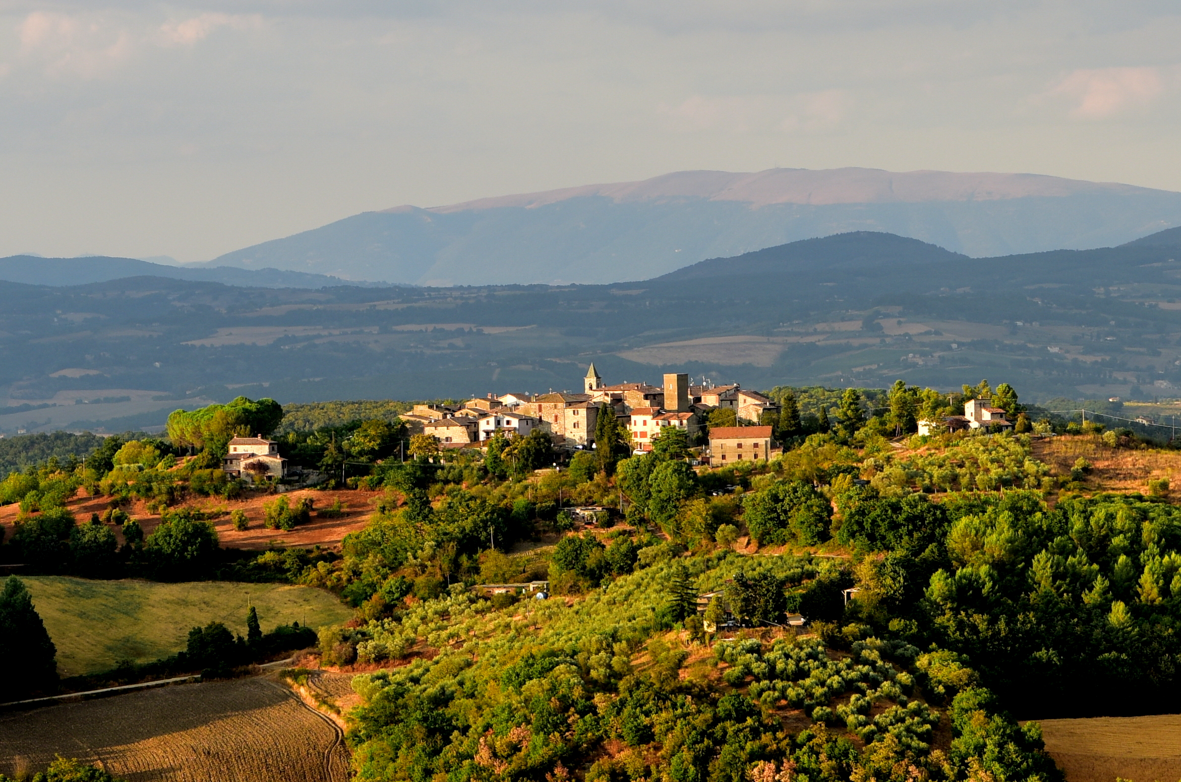 The green of Umbria.