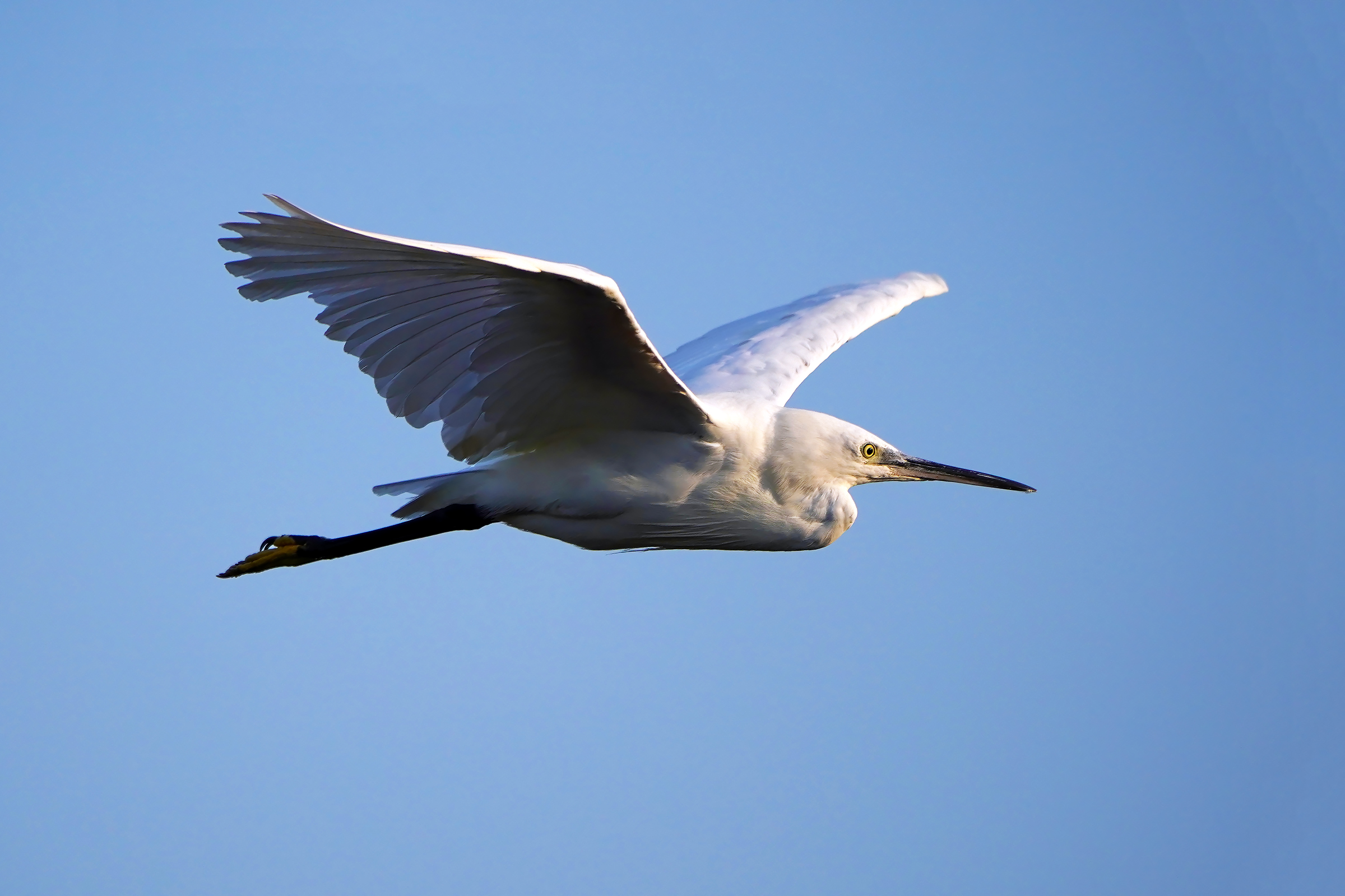 in flight