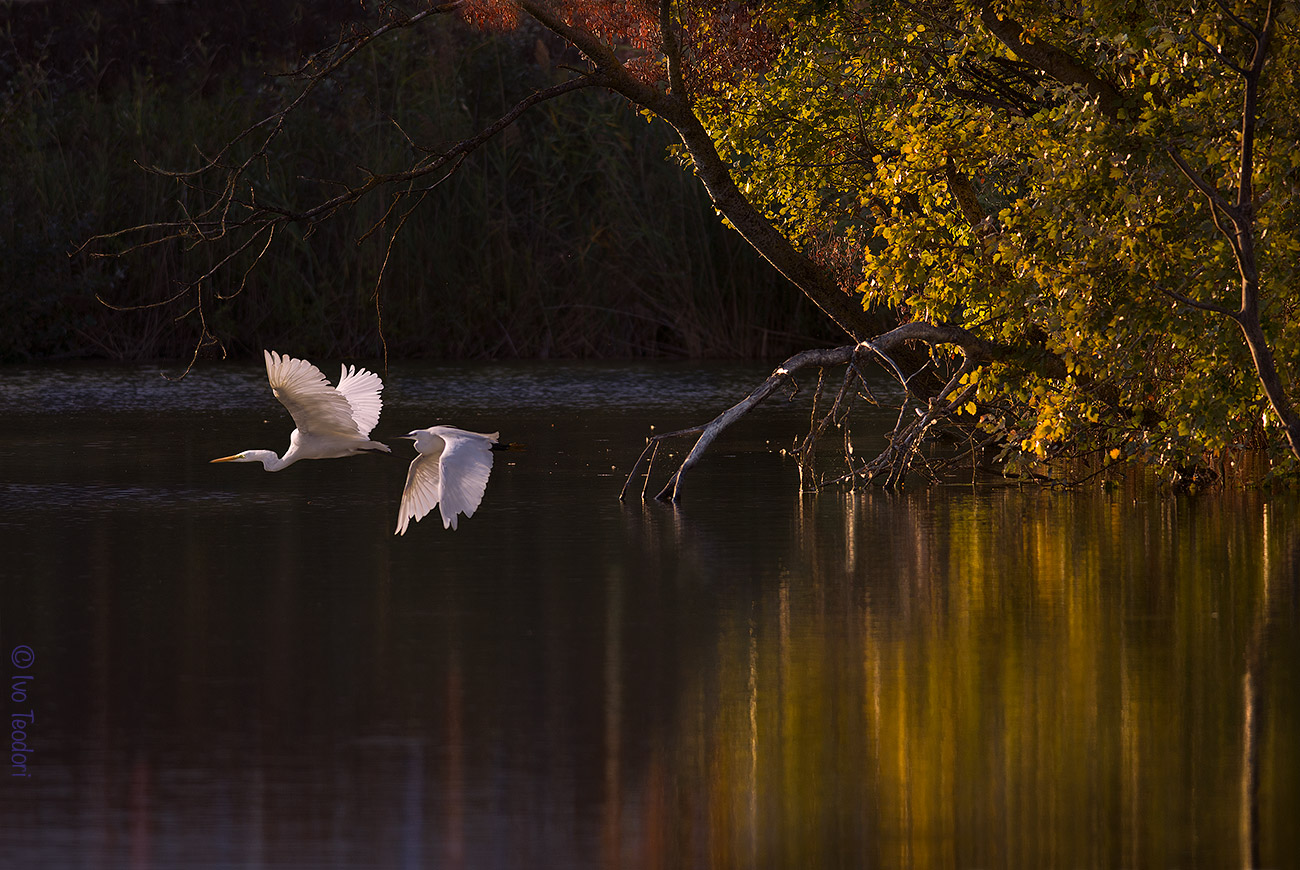 L'autunno è già qui.