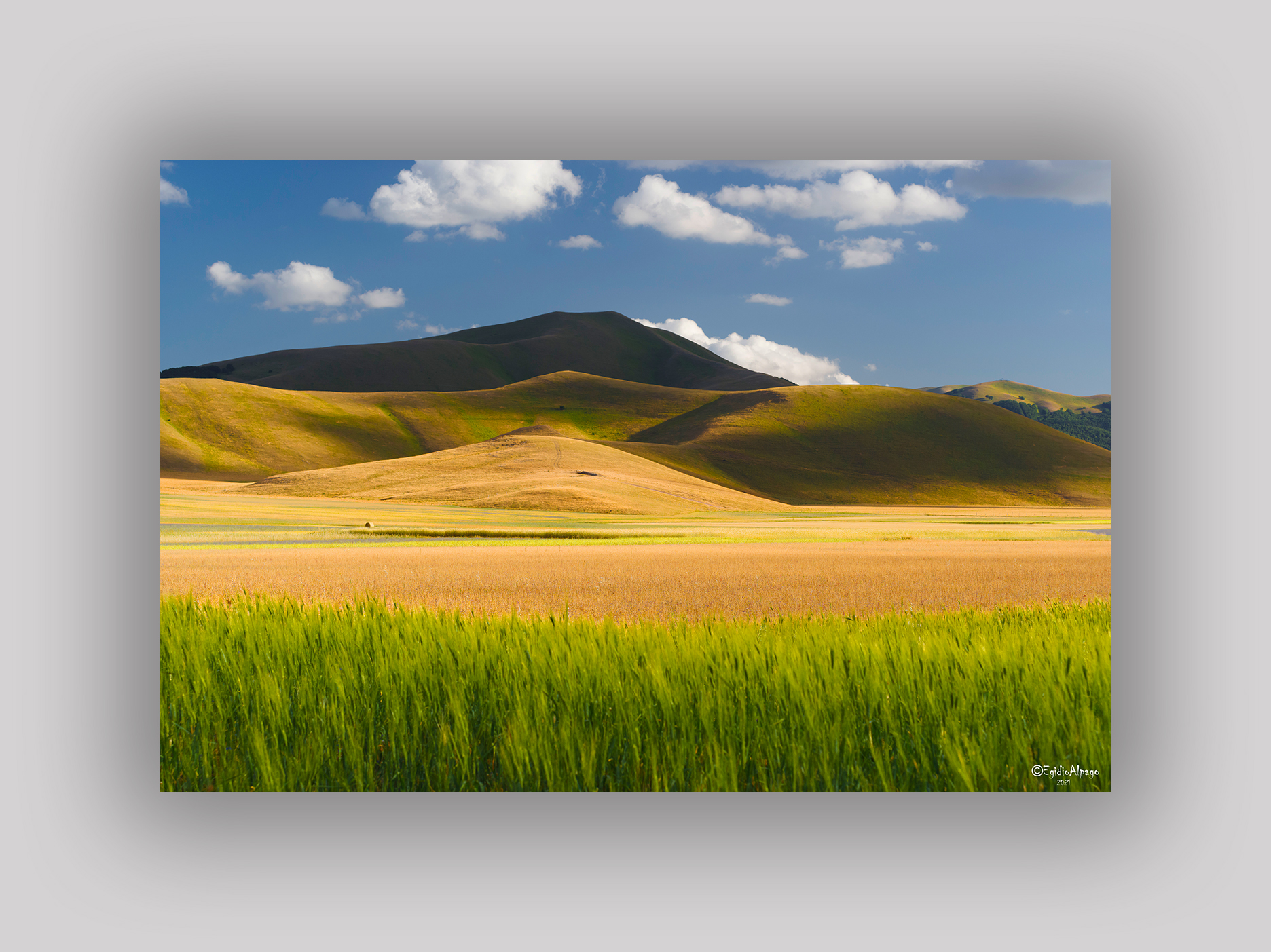 Passeggiando tra i Colori