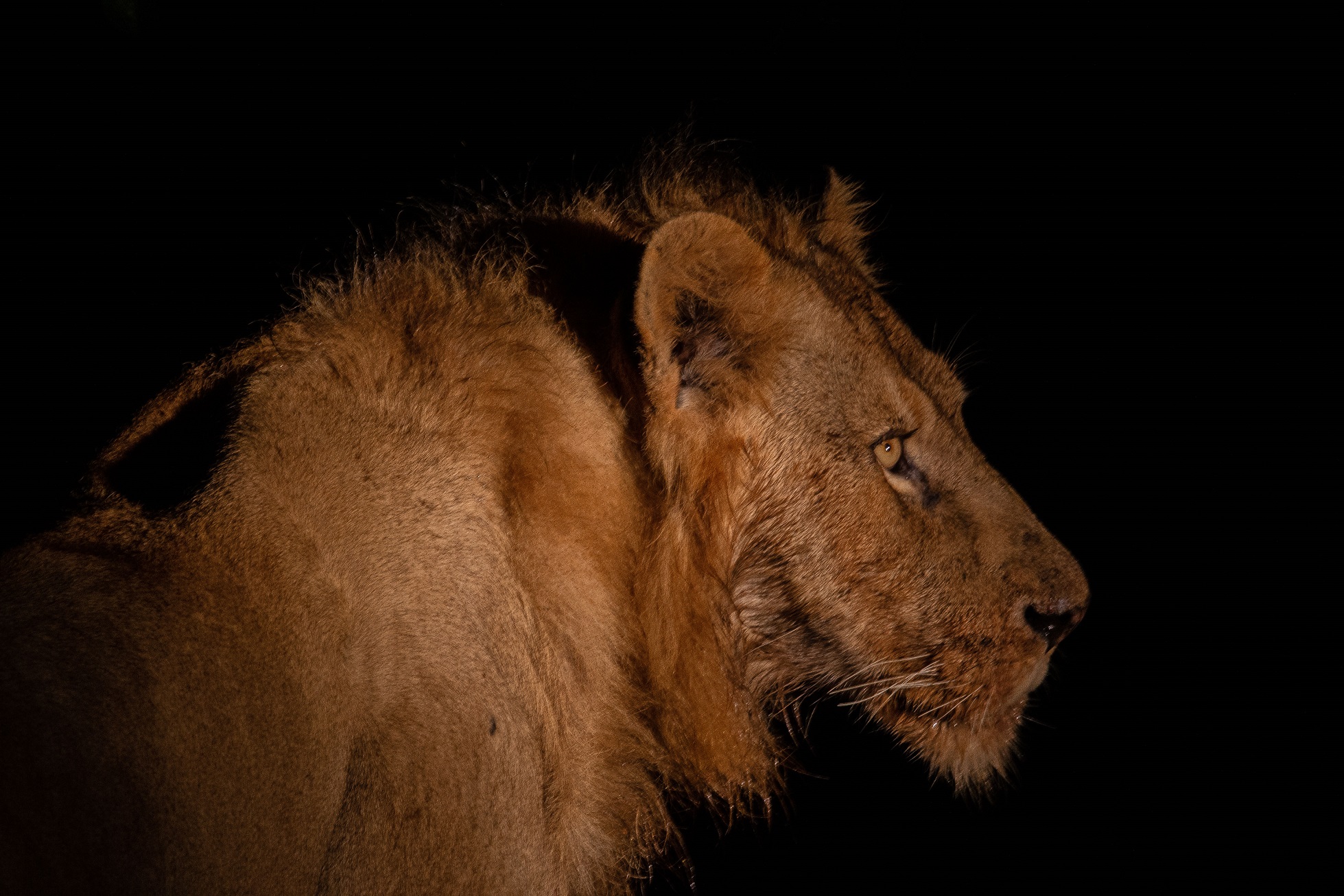 Esperimento notturno...