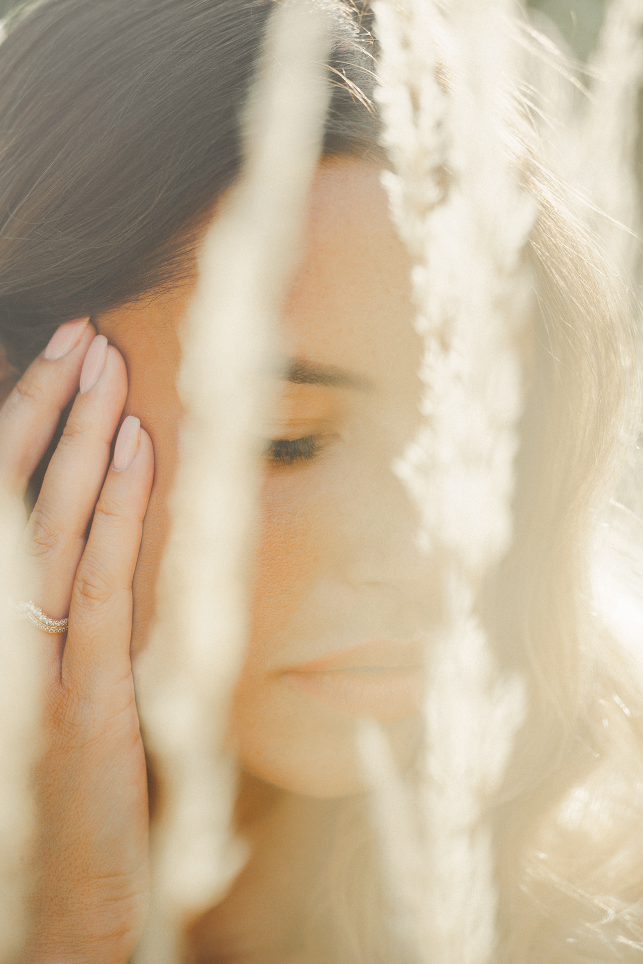 Carlotta "E fratte 2"