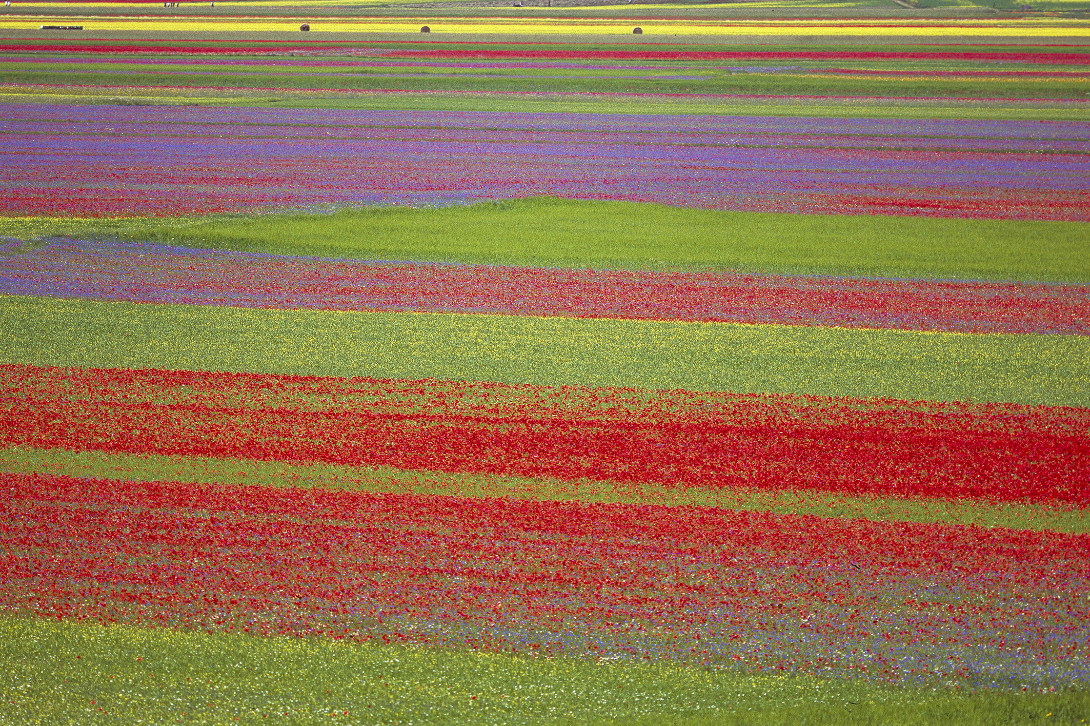 le meraviglie di castelluccio