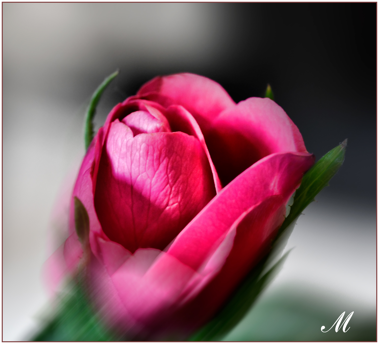 Boccio di autunno...