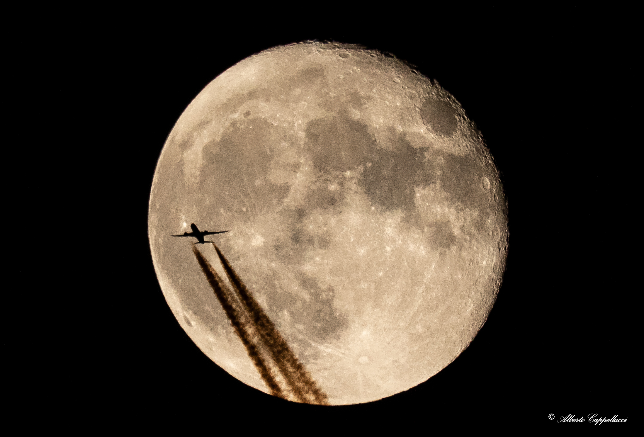 Boeing 787-8 Dreamliner 41000 ft