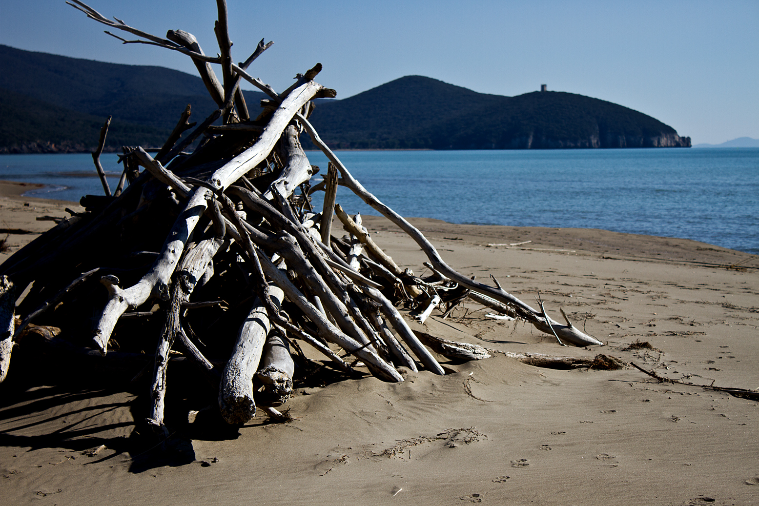 Spiaggia Maremma(Toscana)