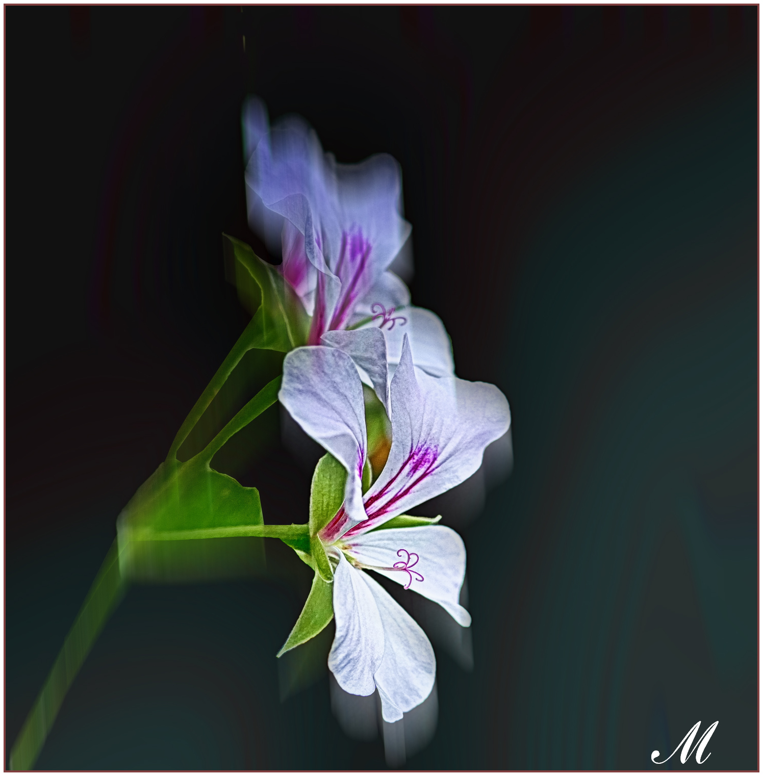 Lungo i sentieri montani, si mostra...