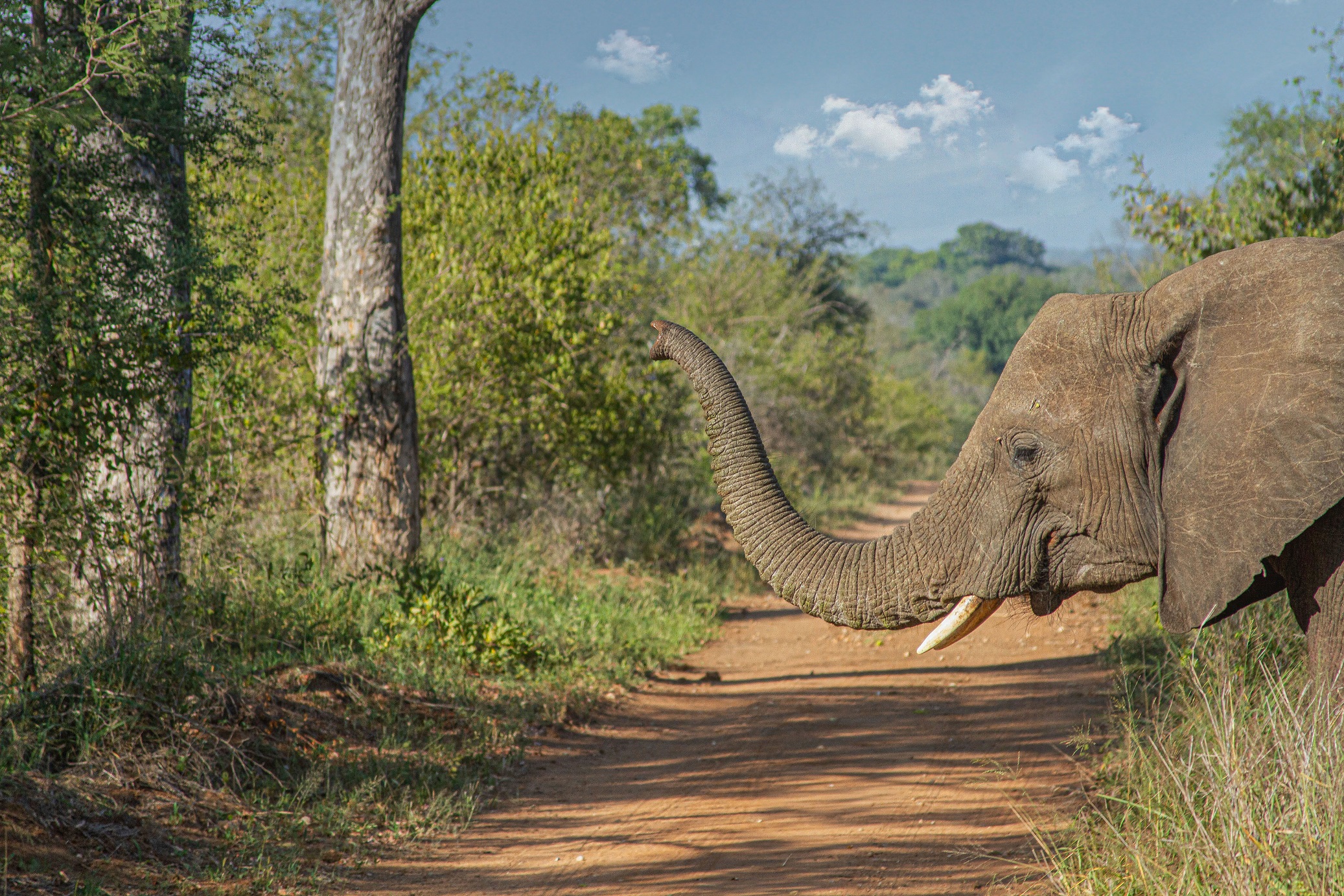 Gioco di prestigio...