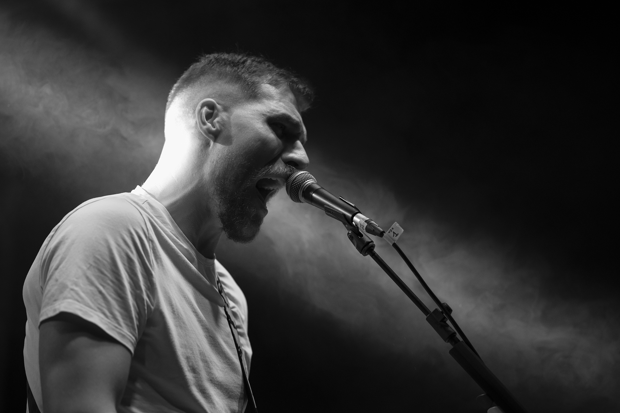 tcas Climbers - Singer