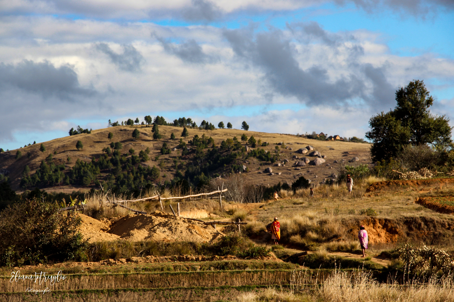 Farmers in yellow