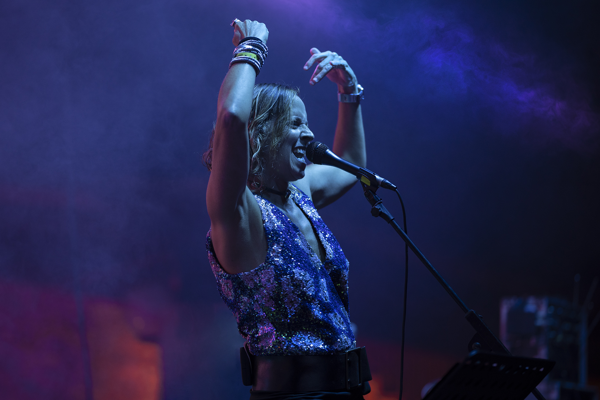 The Waypoints - Voice