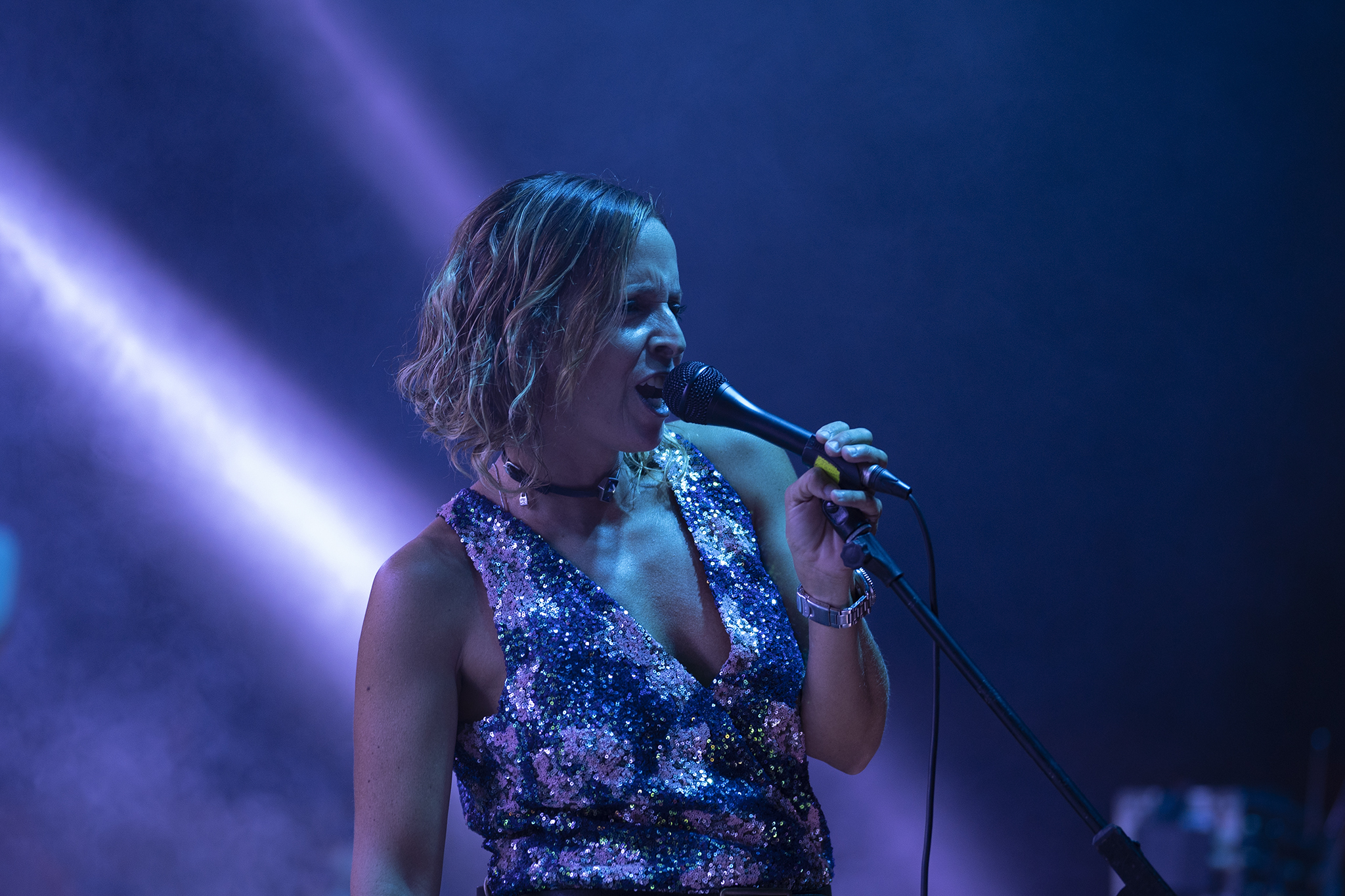 The Waypoints - Voice