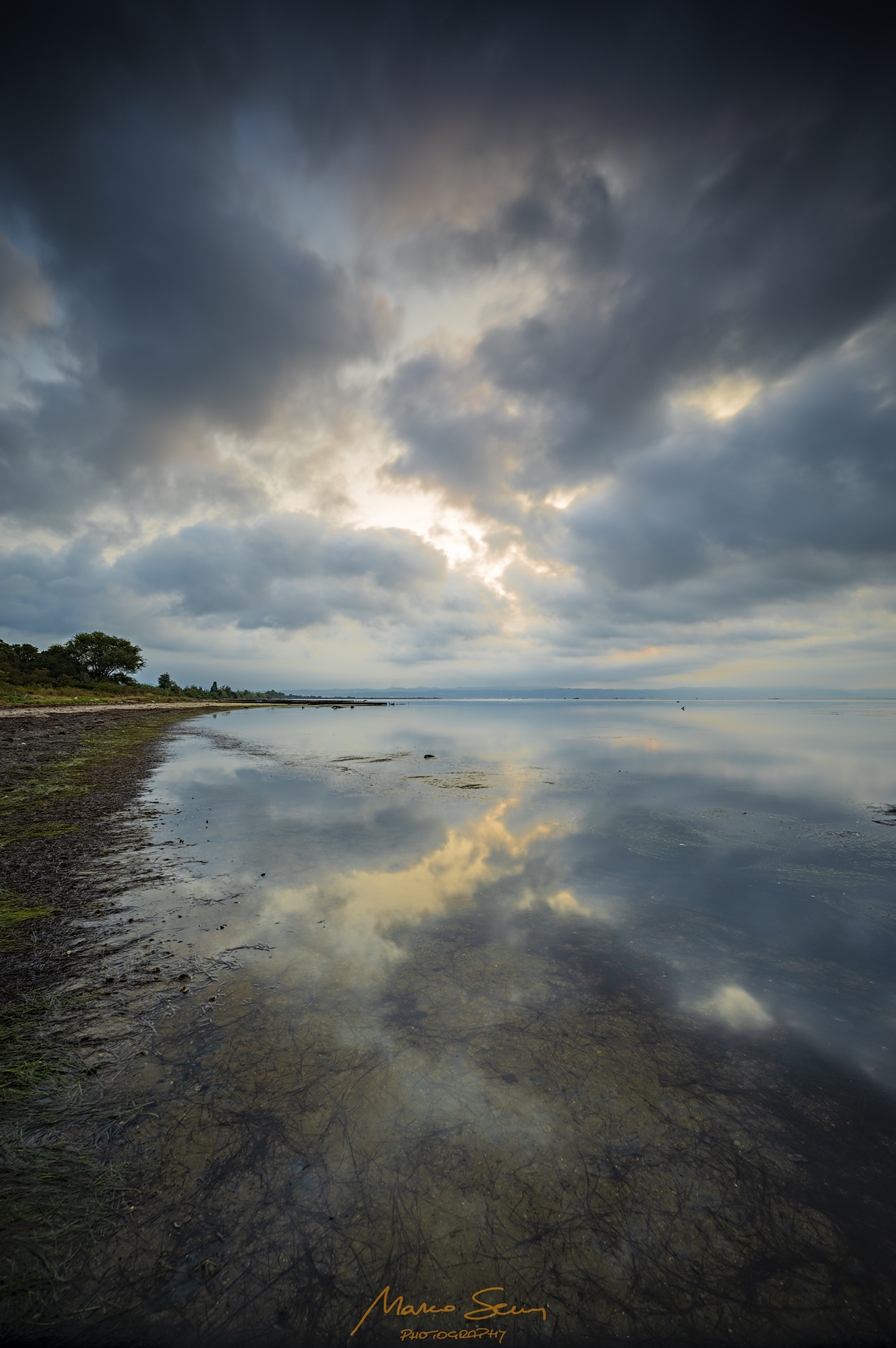 Dawn