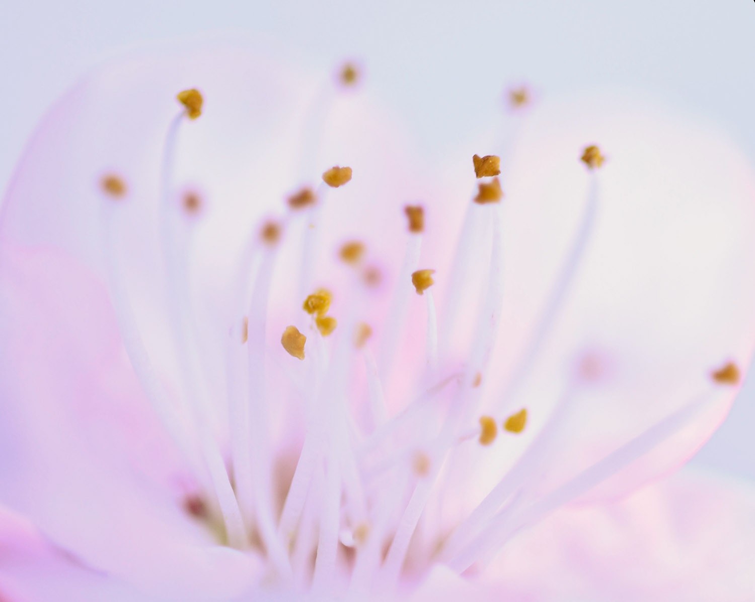 Dettagli ravvicinati