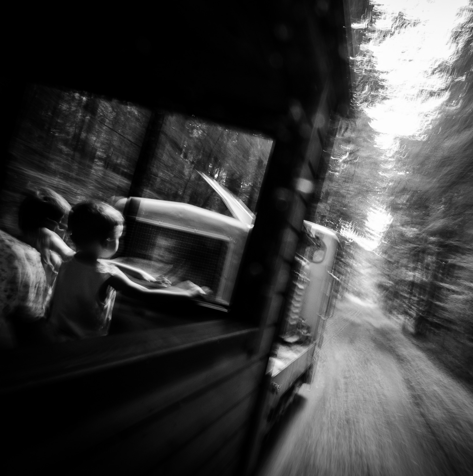 Sognando nella foresta