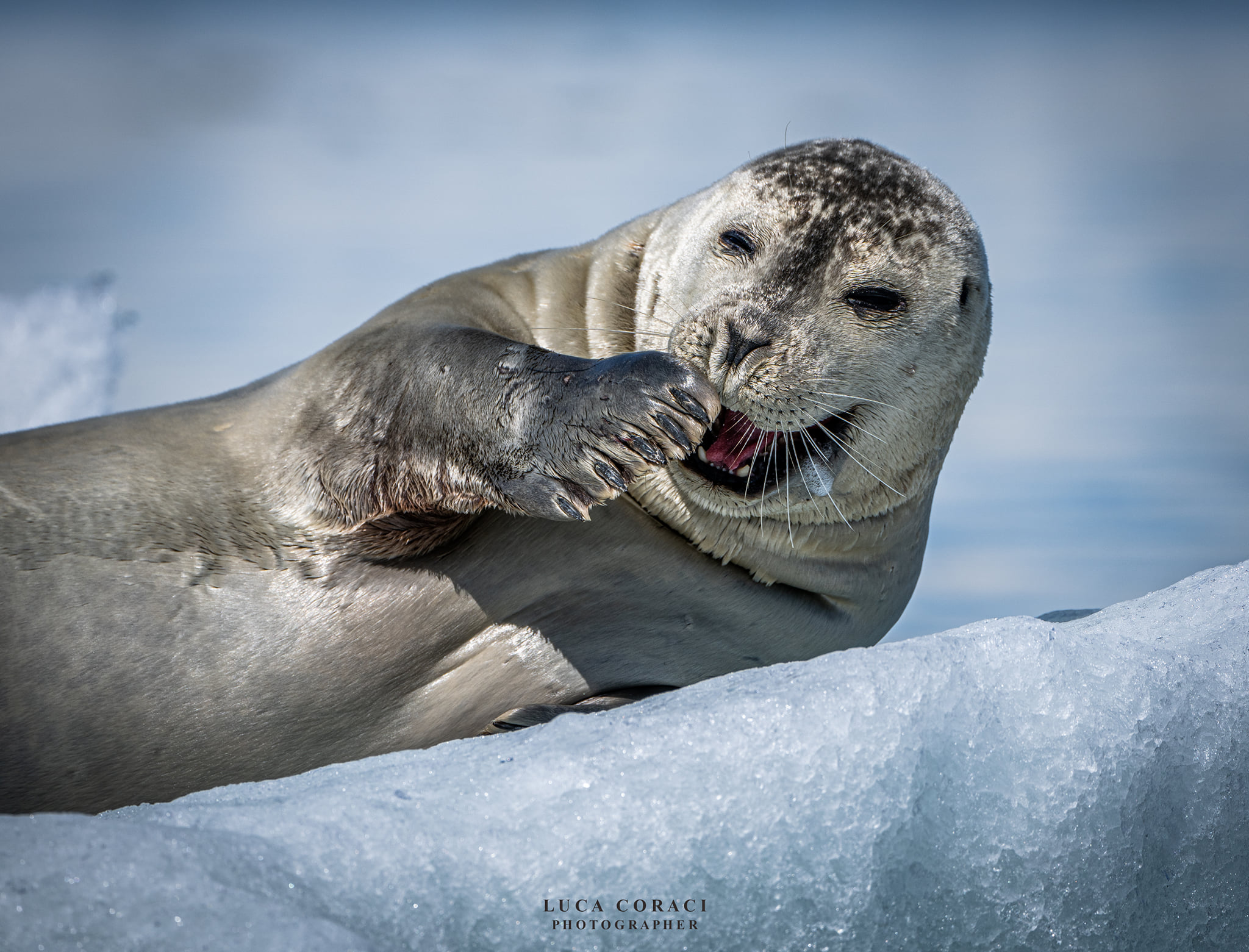 Satiated and... yawn! Now I lie!