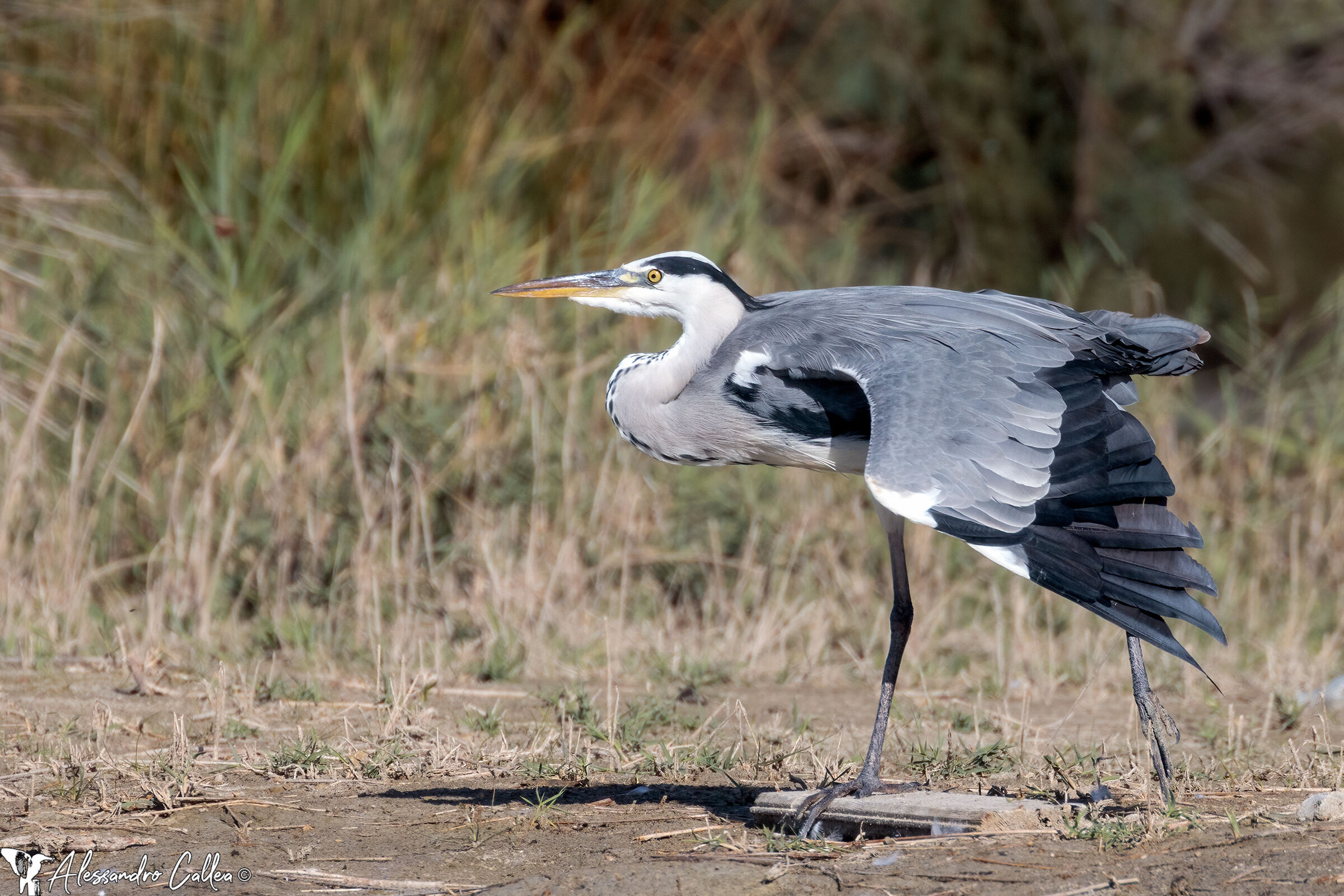 Un pò di stretching e si parte!