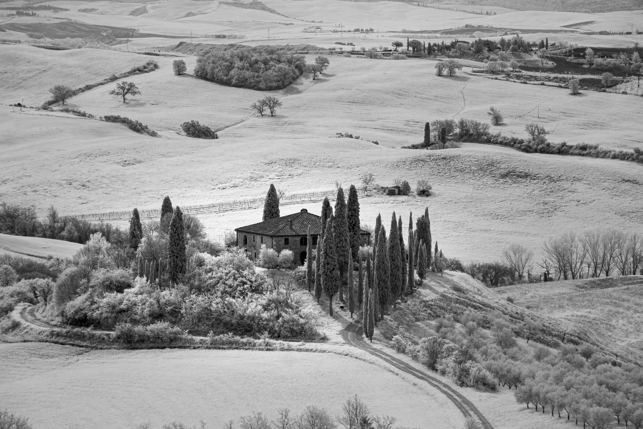 Val d'Orcia infrared