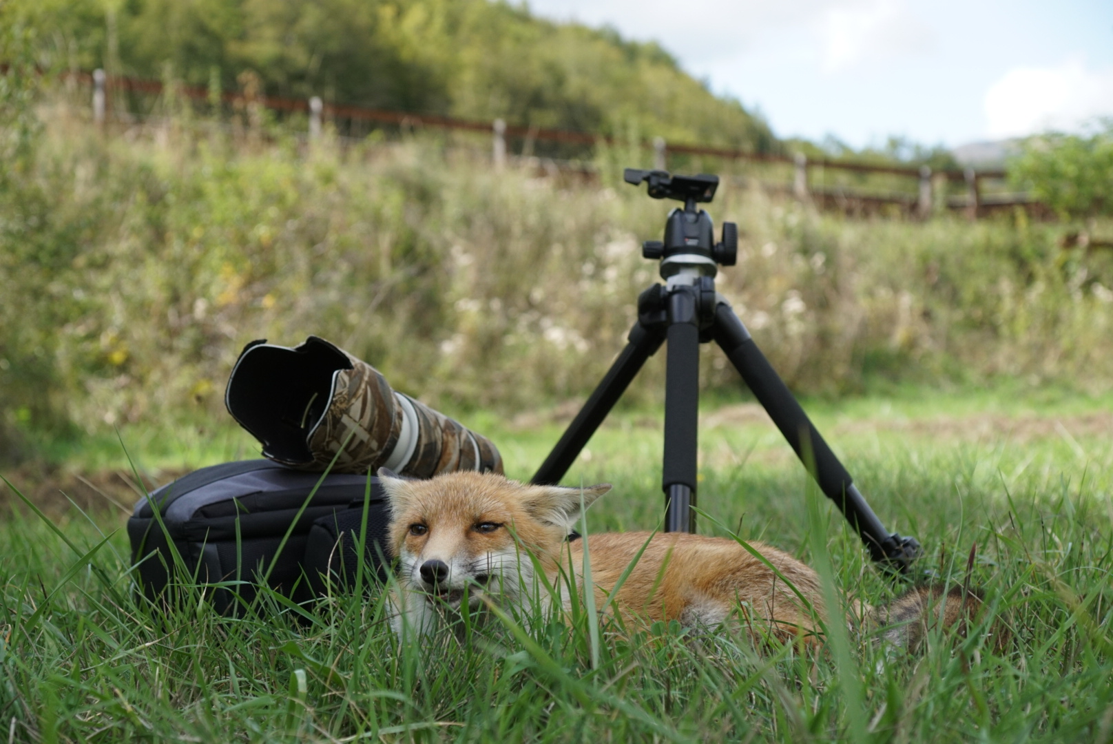 Go ahead... I'm careful with the equipment