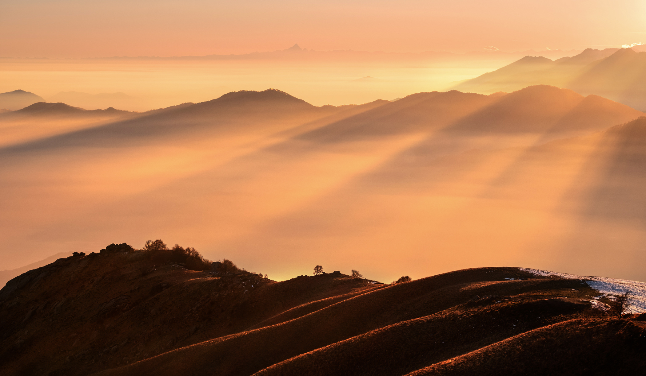 The silence of nature