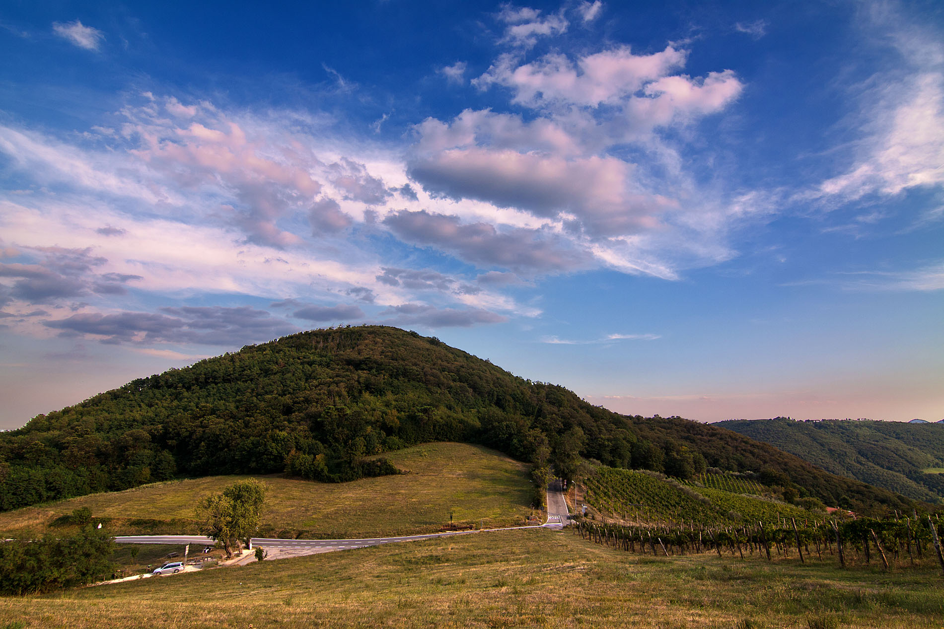 Passo Roverello, Euganean Hills.