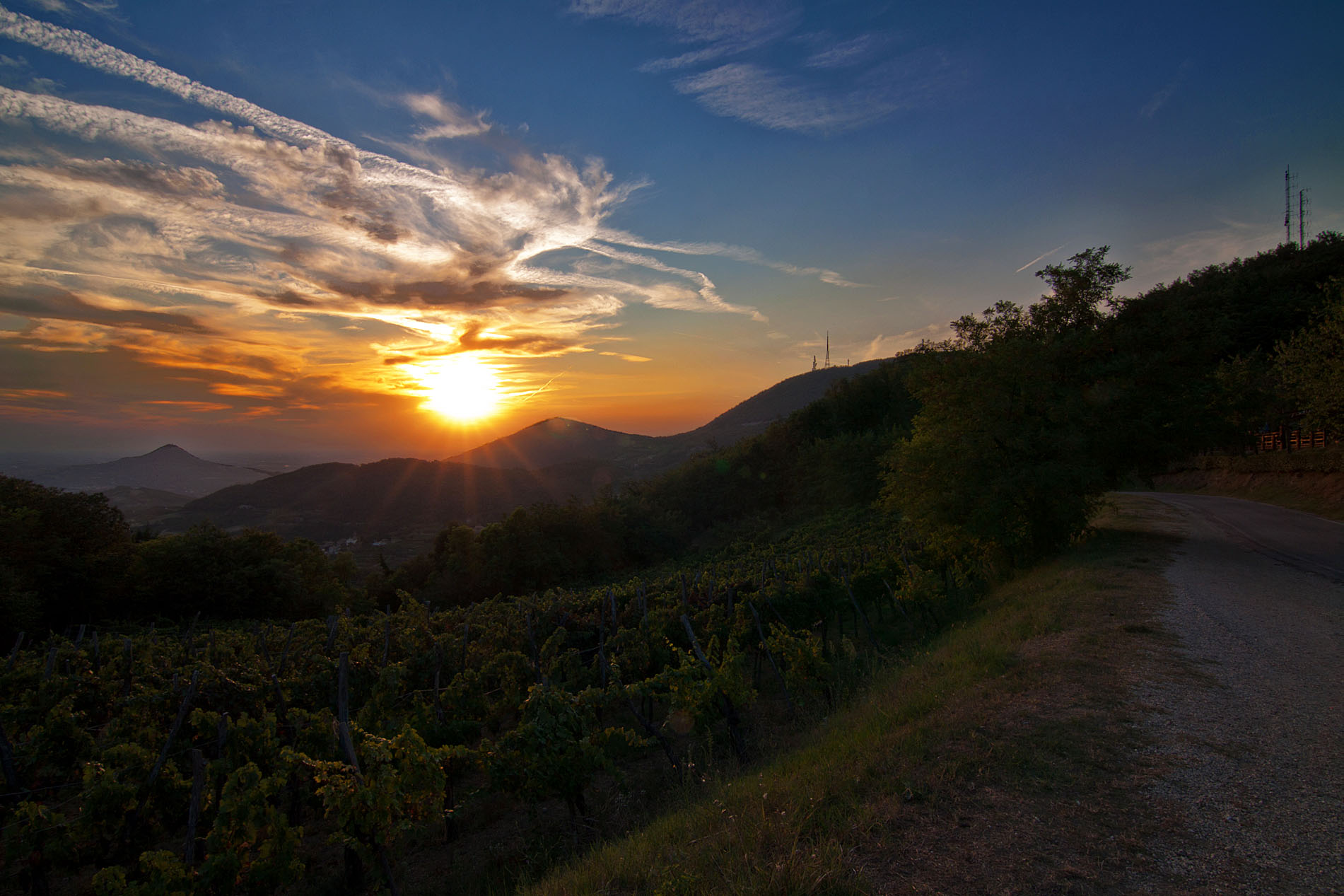 Sunset on Passo Roverello, Euganean Hills.