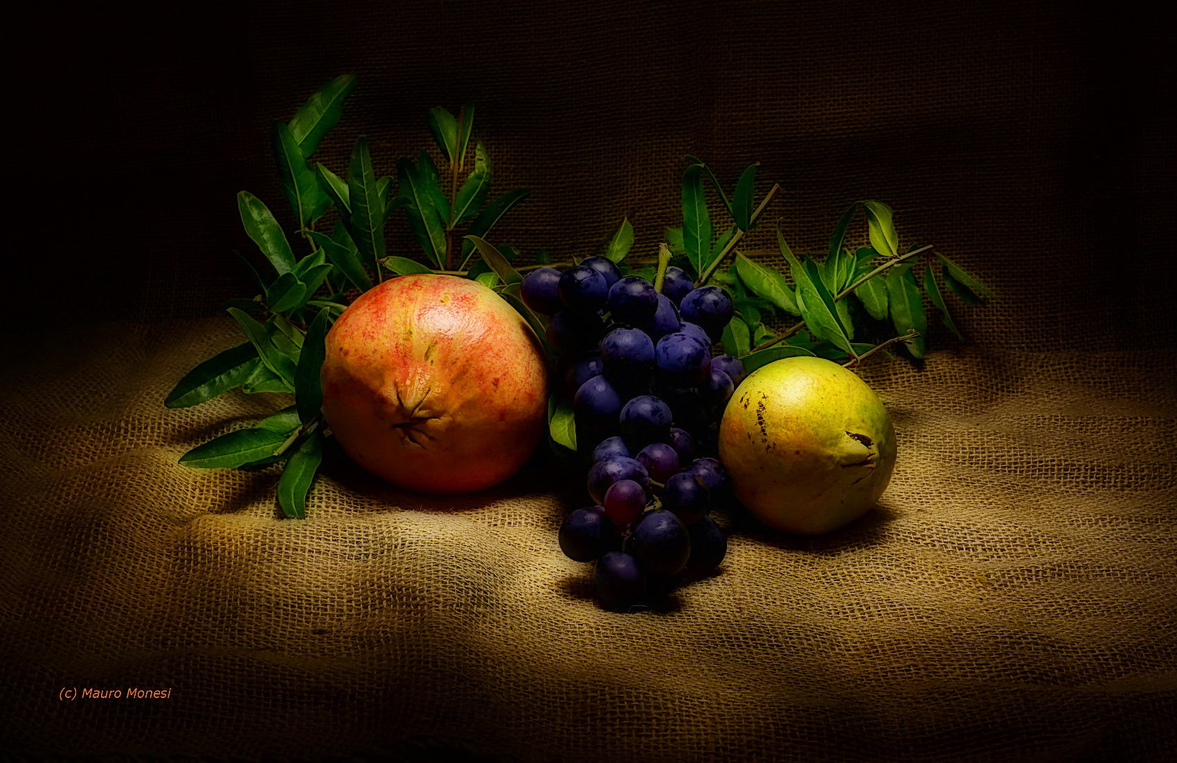 Giocando con la luce